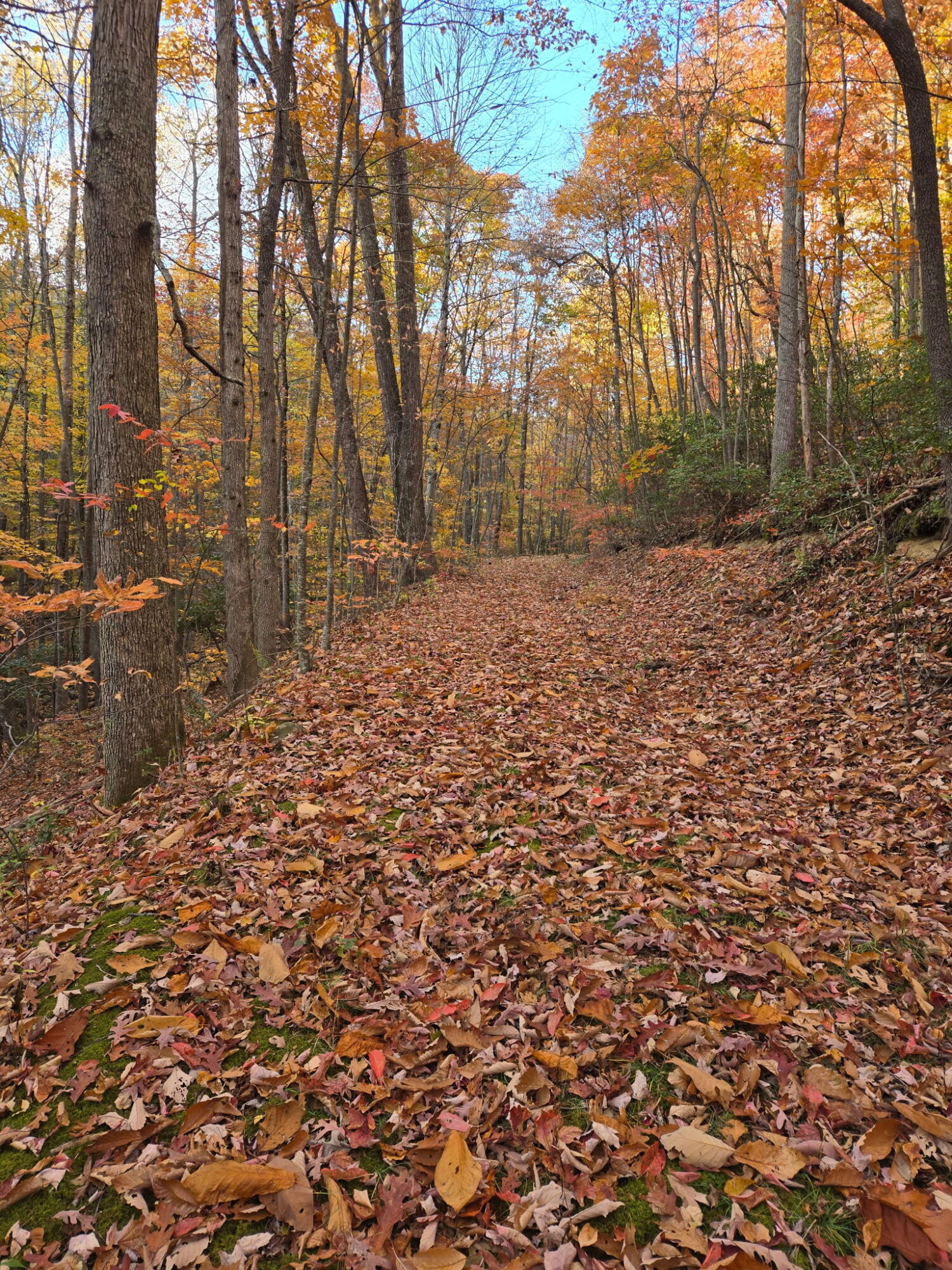 2915 Quinwood Nutterville Rd