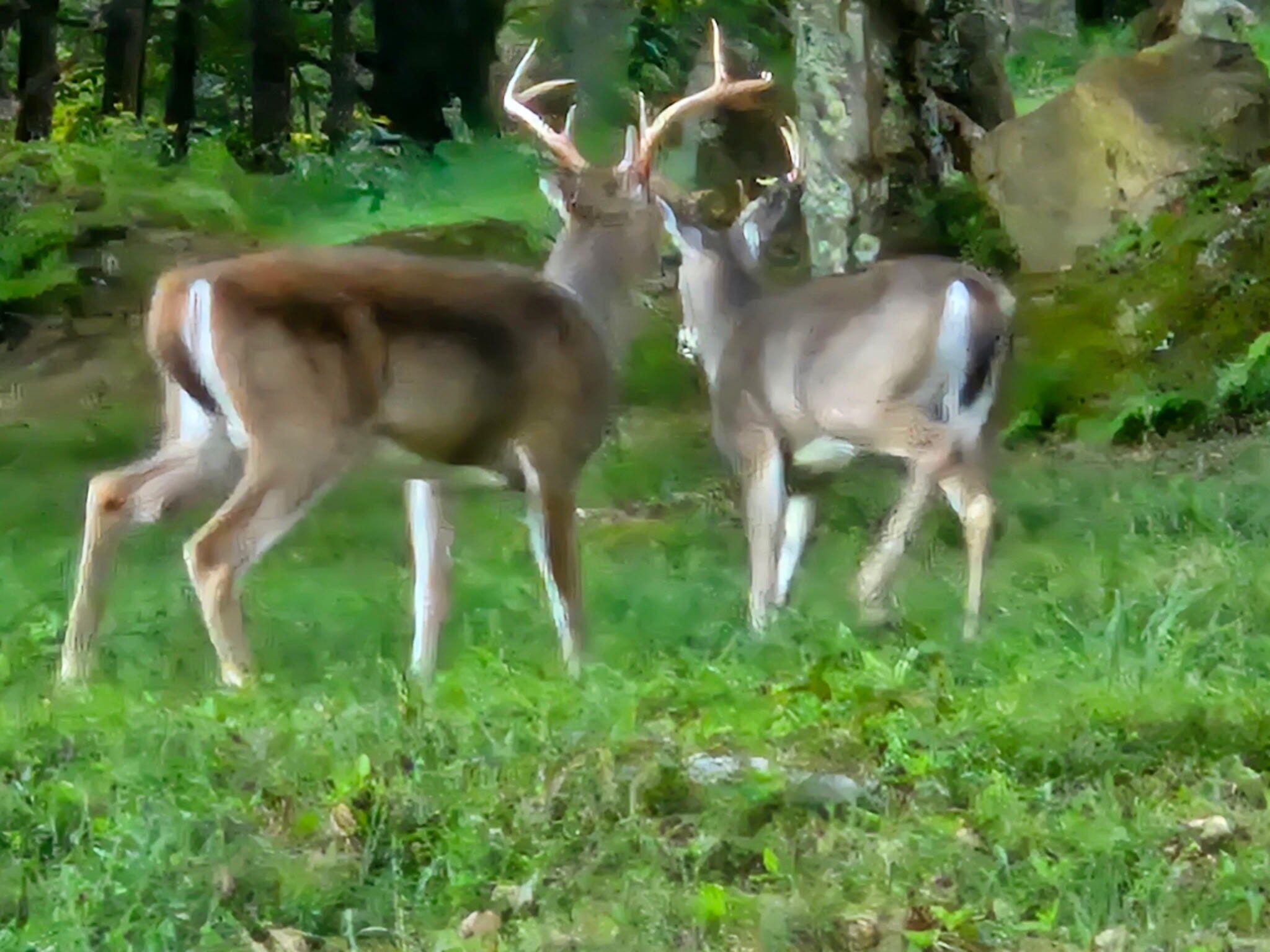 2915 Quinwood Nutterville Rd