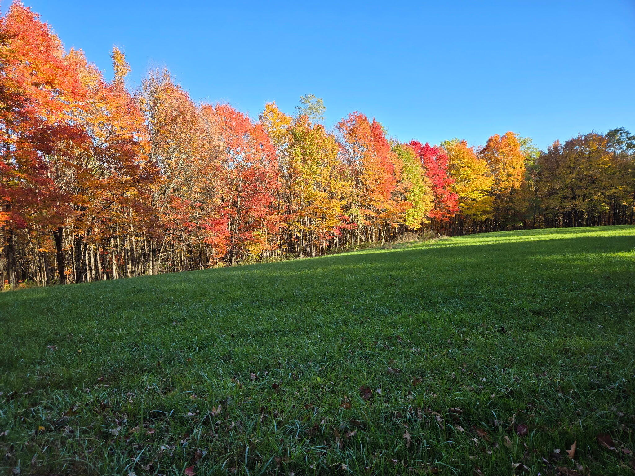 2915 Quinwood Nutterville Rd