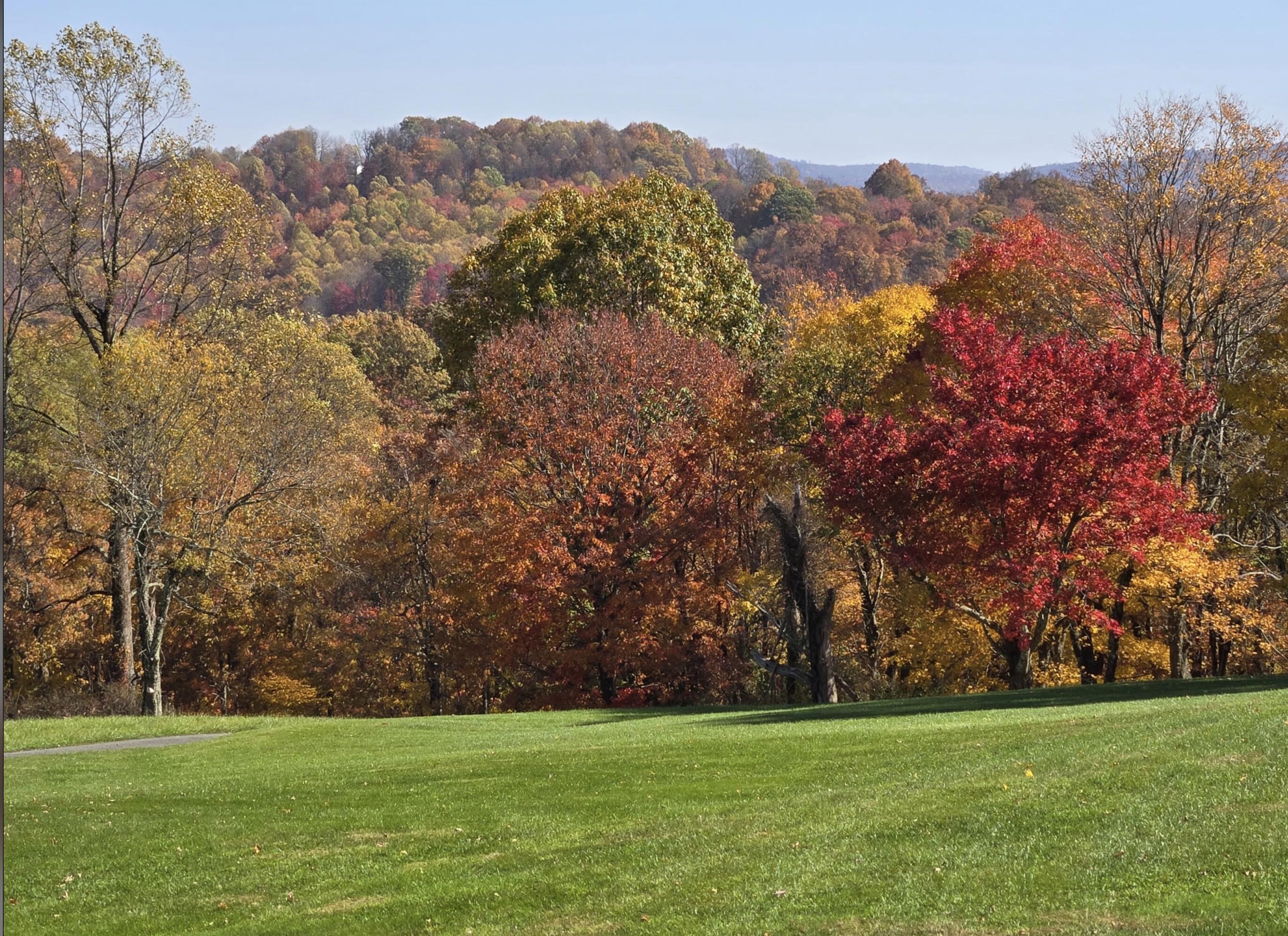 2915 Quinwood Nutterville Rd