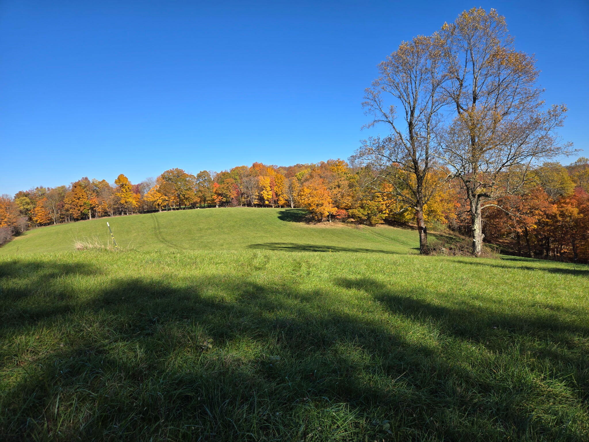 2915 Quinwood Nutterville Rd