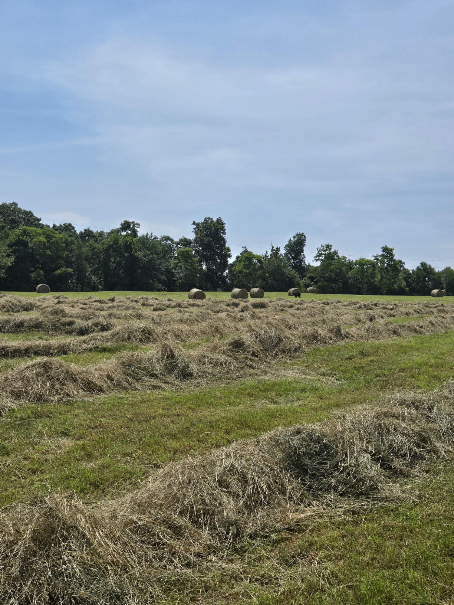 2915 Quinwood Nutterville Rd