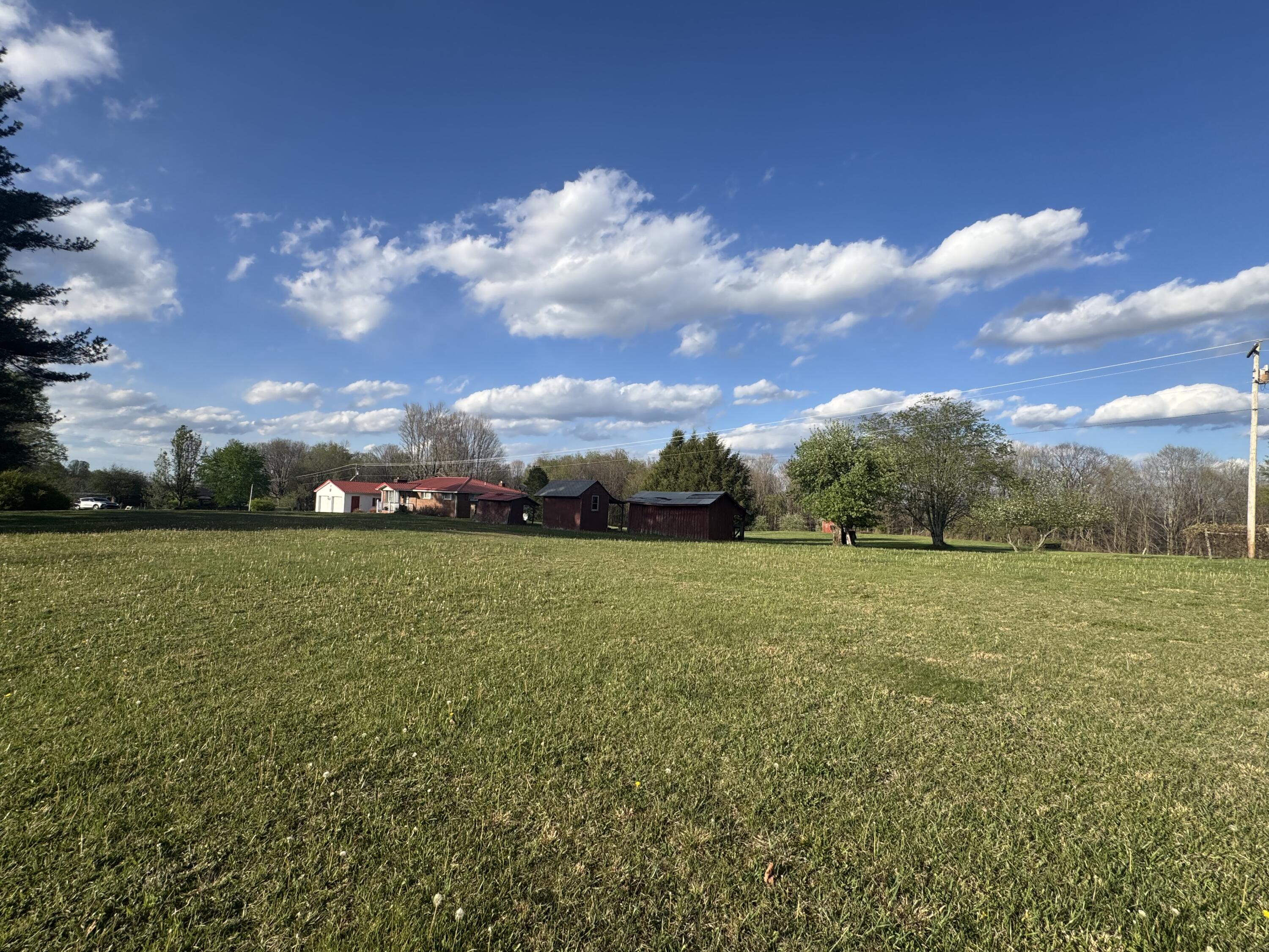 212 Olive Branch