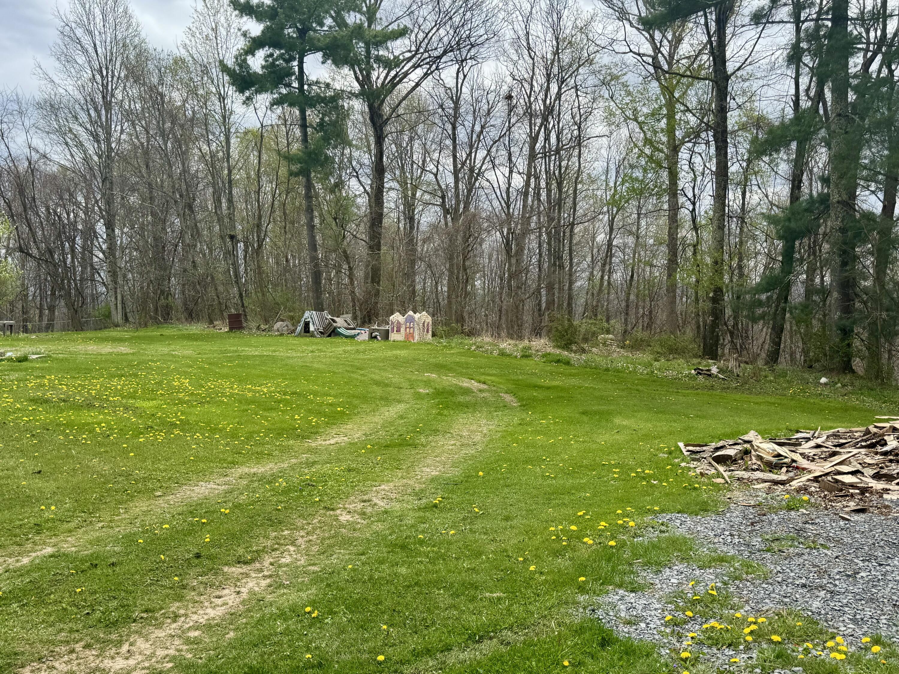 123 Dorsey Rd