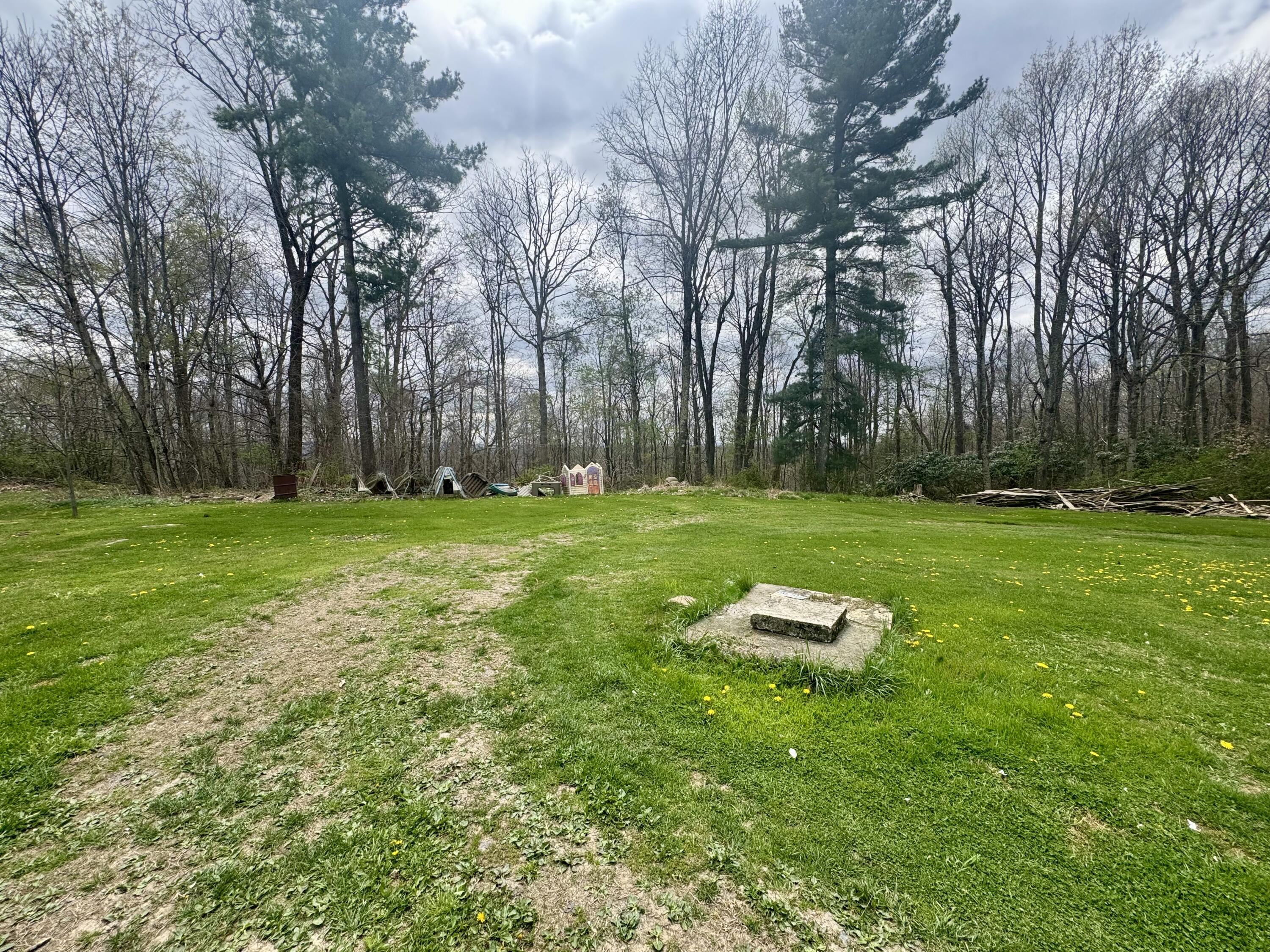 123 Dorsey Rd