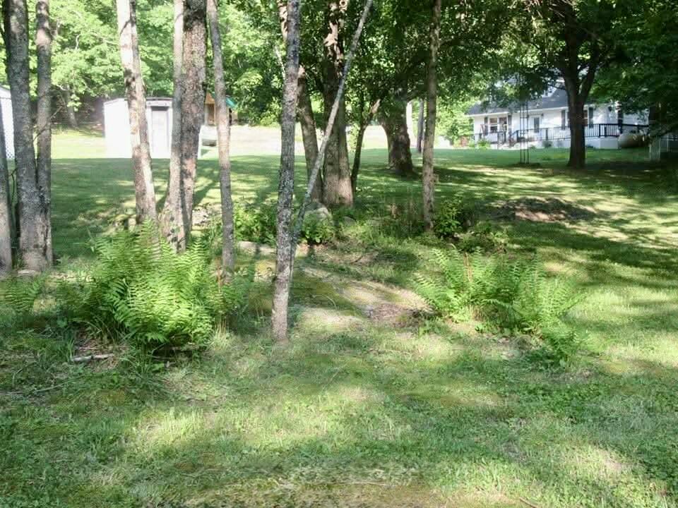 4336 Grassy Creek RD