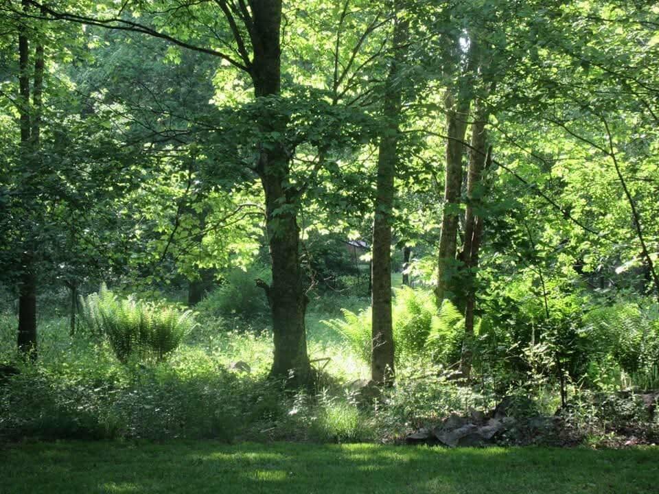 4336 Grassy Creek RD