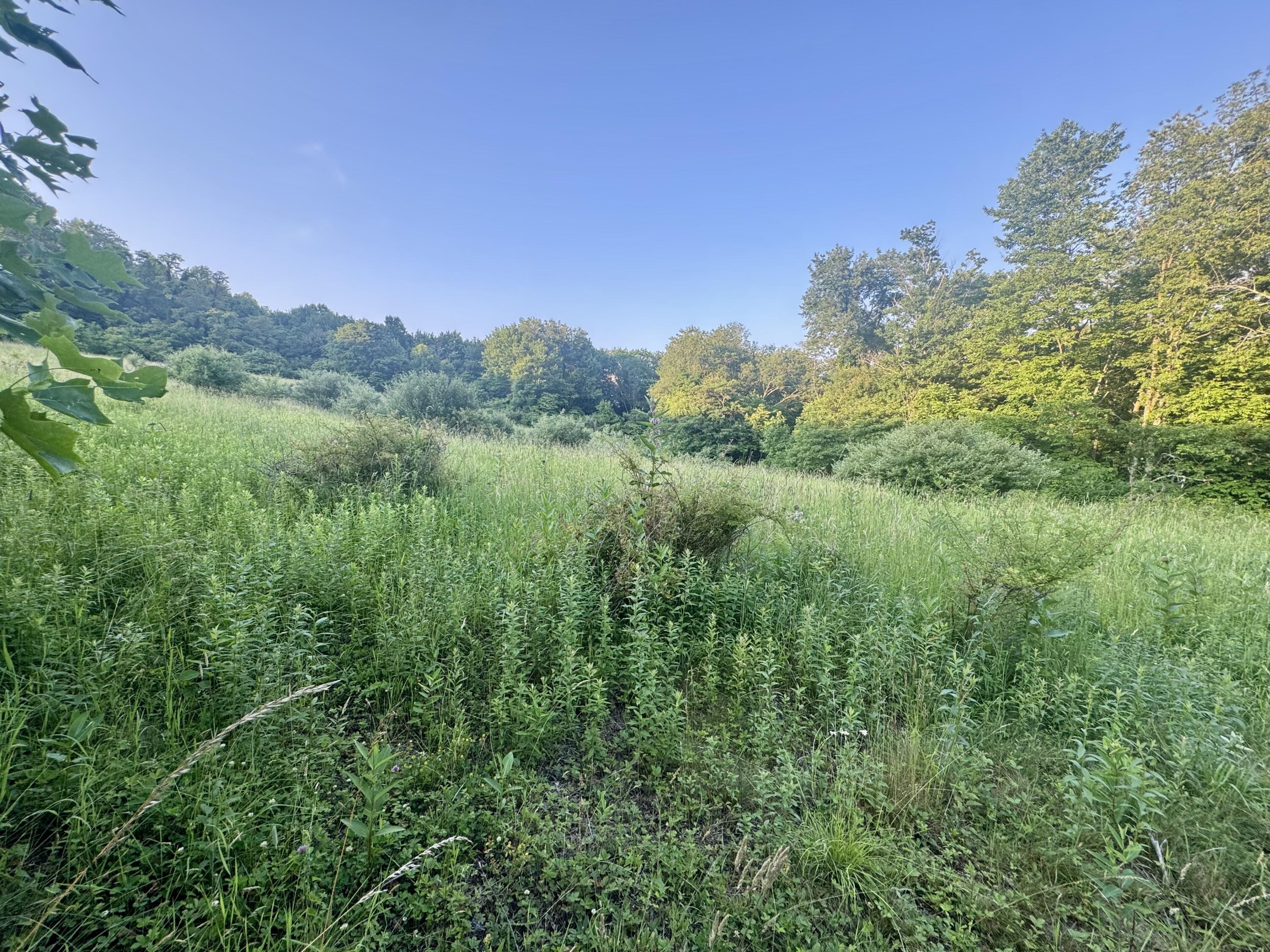 9760 Leivasy