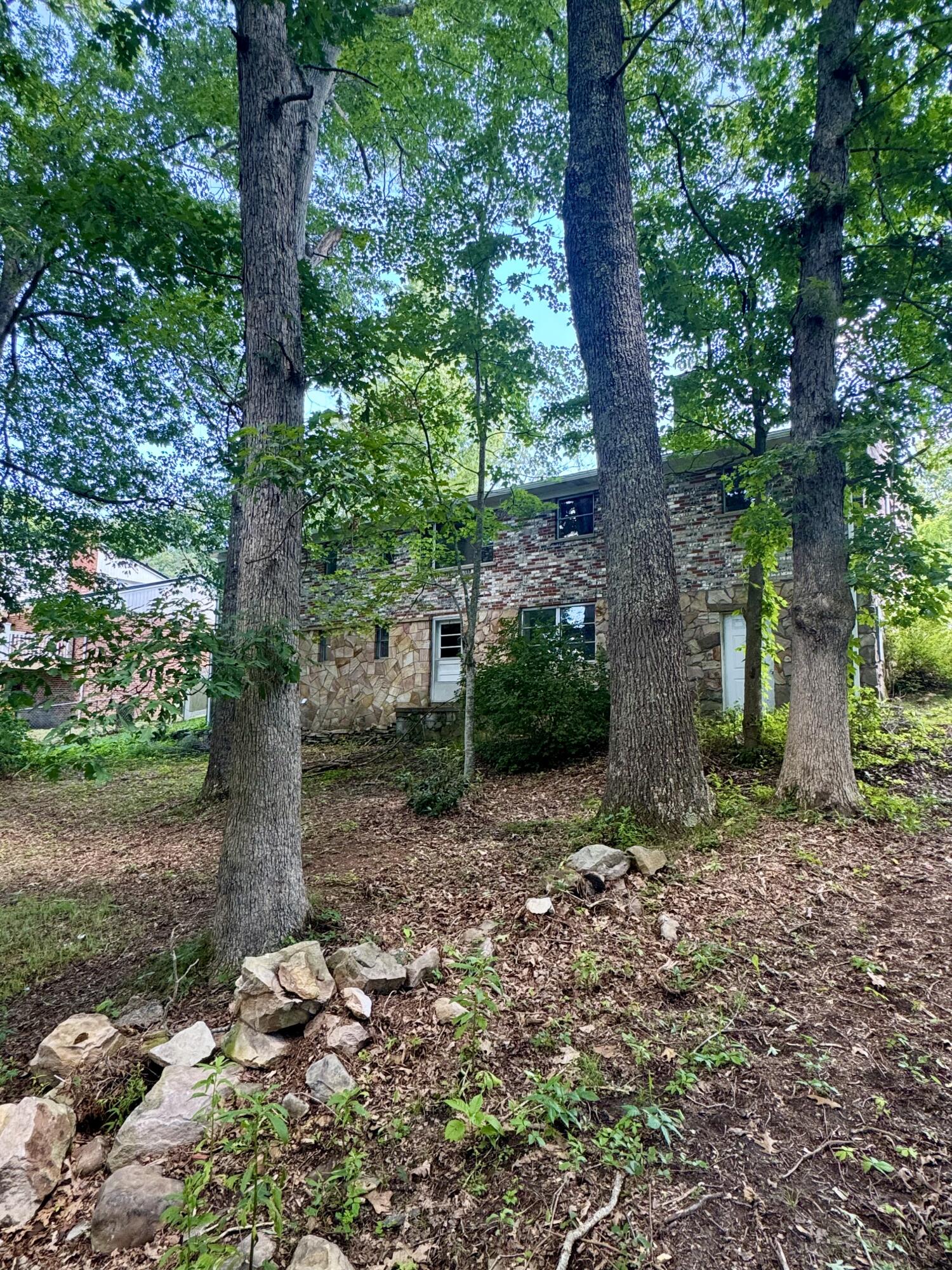248 Mercer
