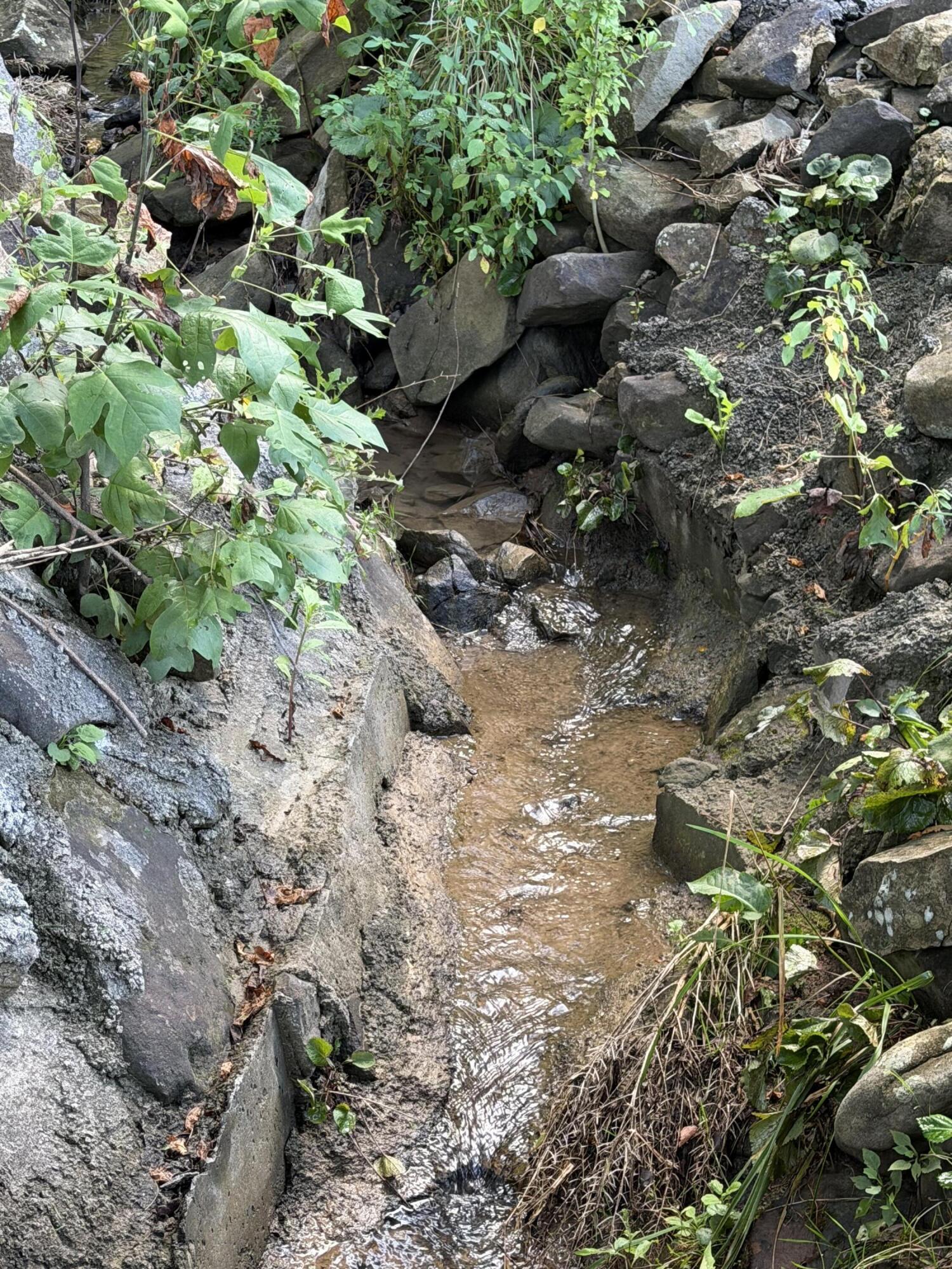 1030 White Oak St