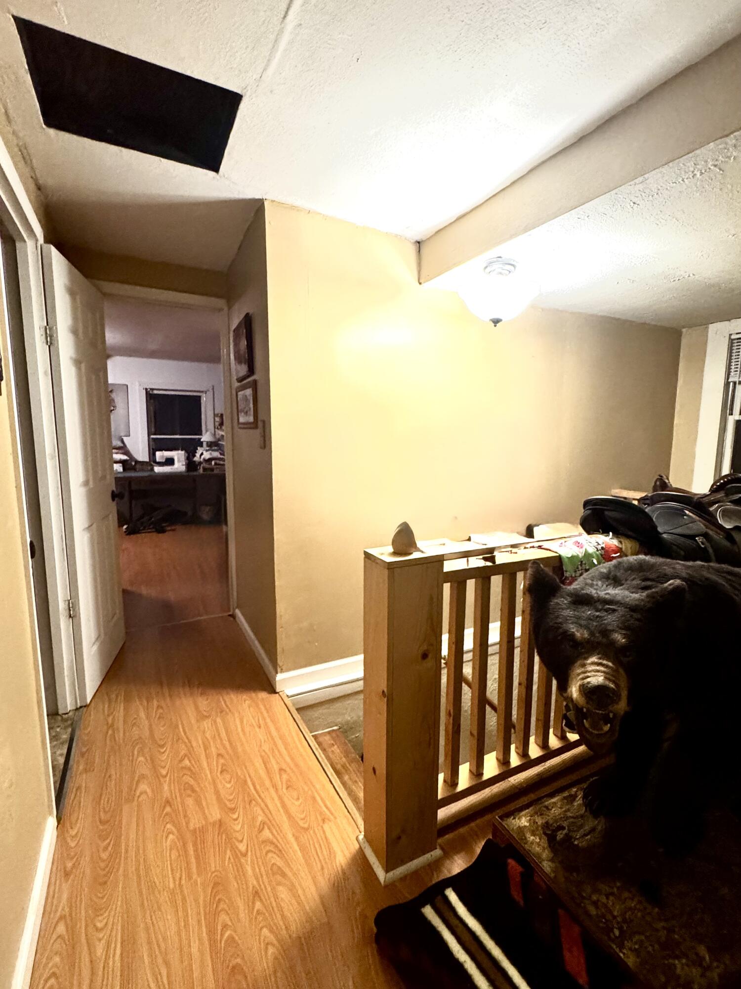 4336 Grassy Creek Rd