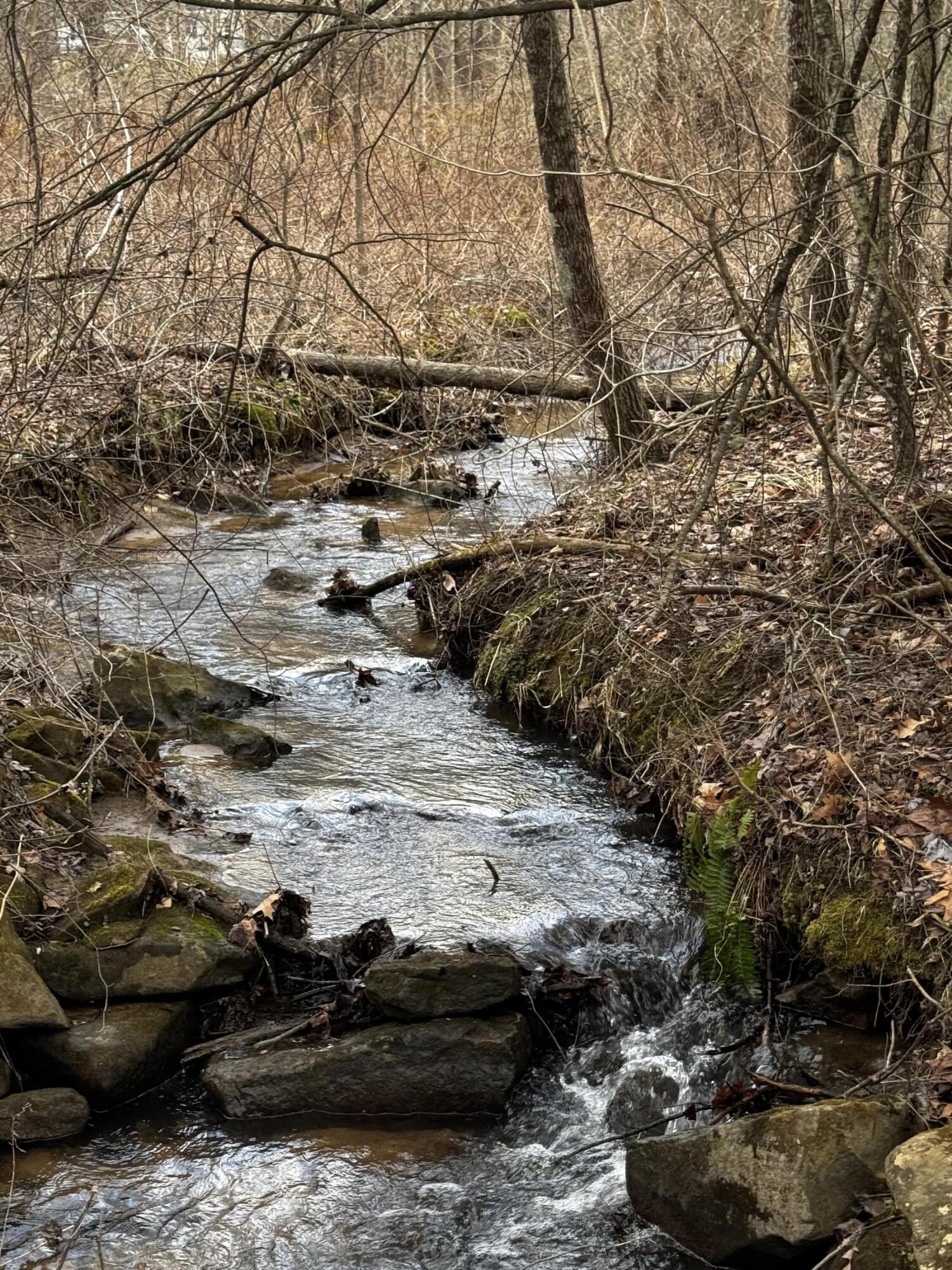 4336 Grassy Creek Rd