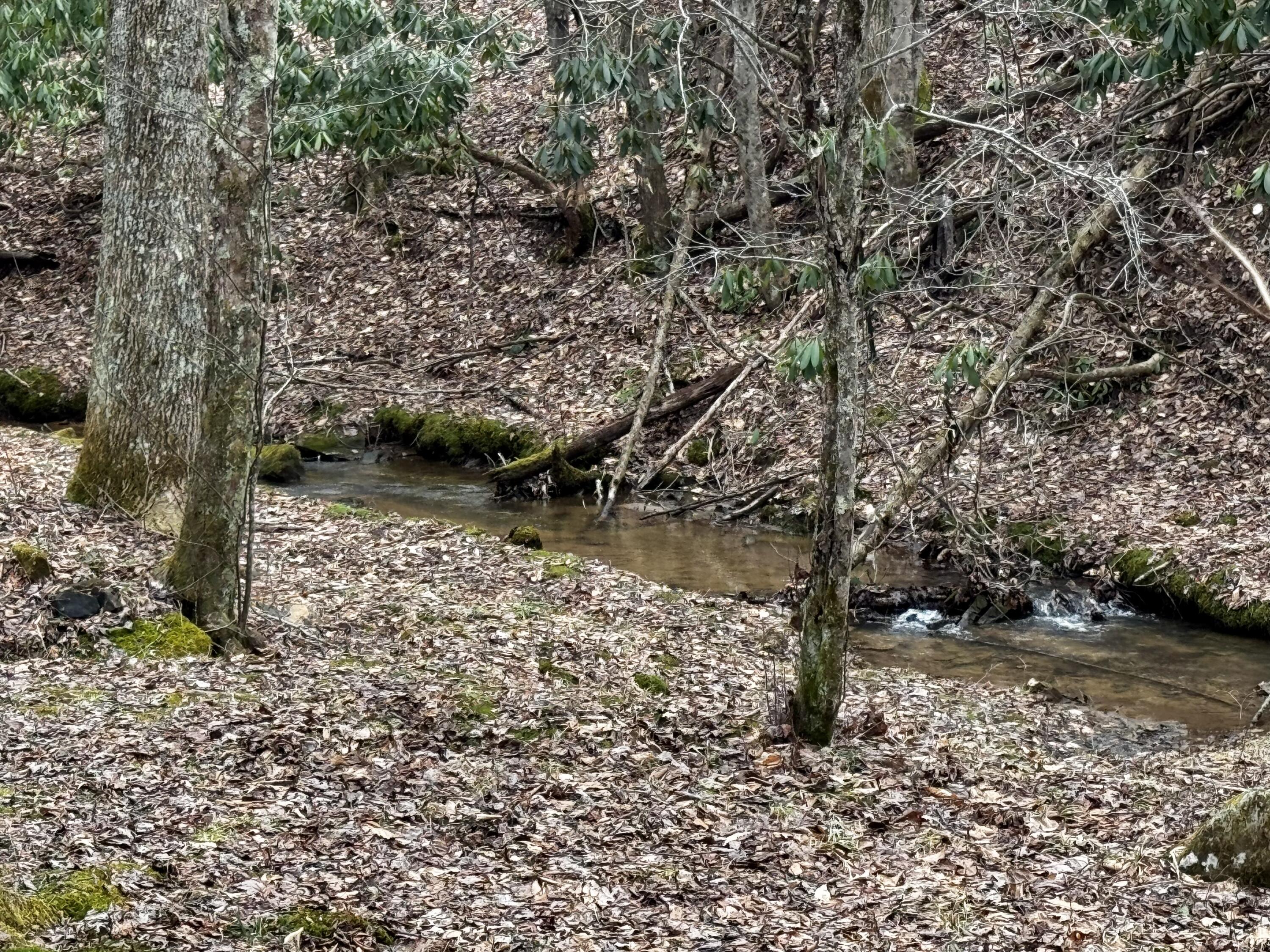 4336 Grassy Creek Rd