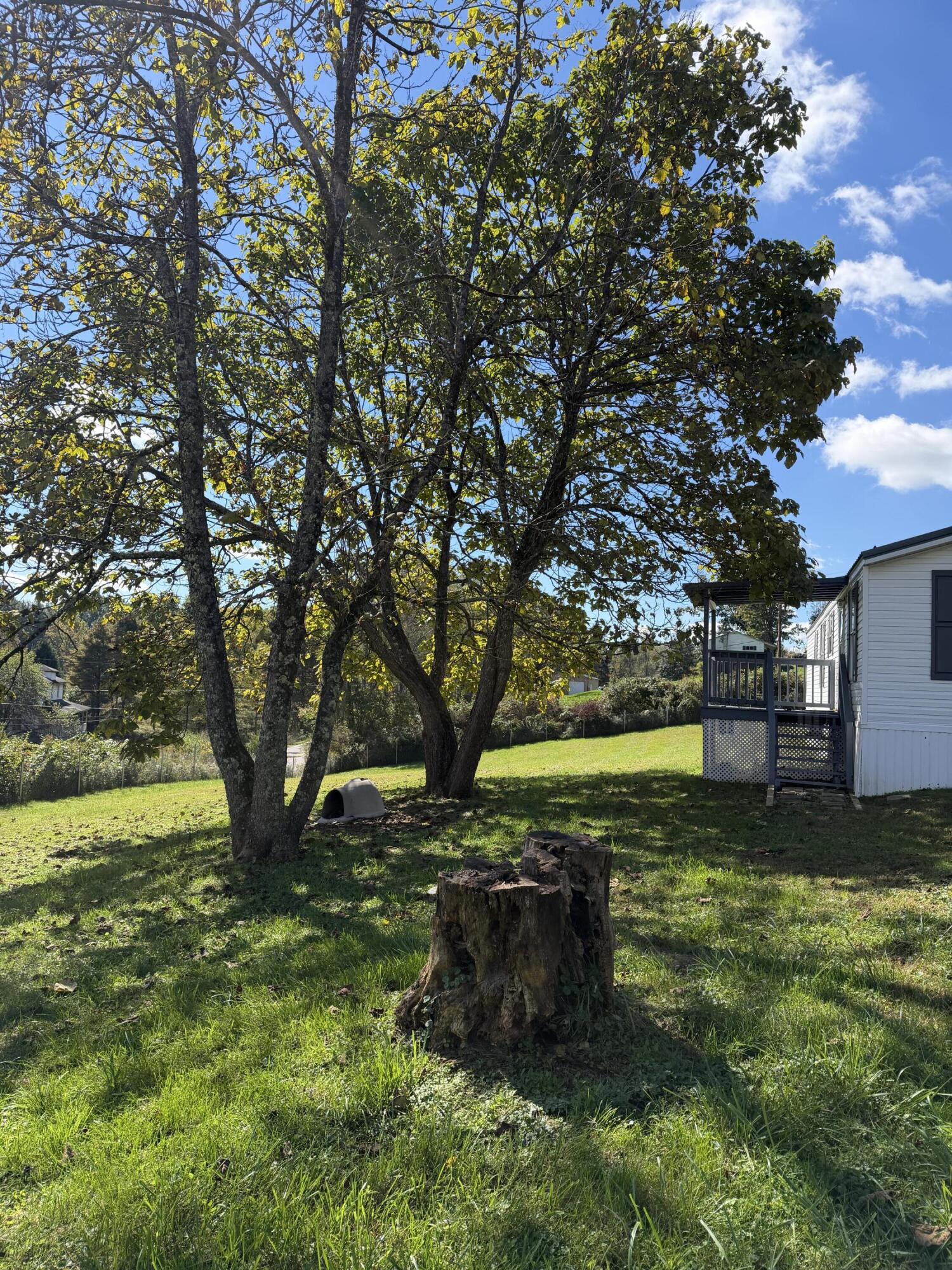 366 Maple Inn