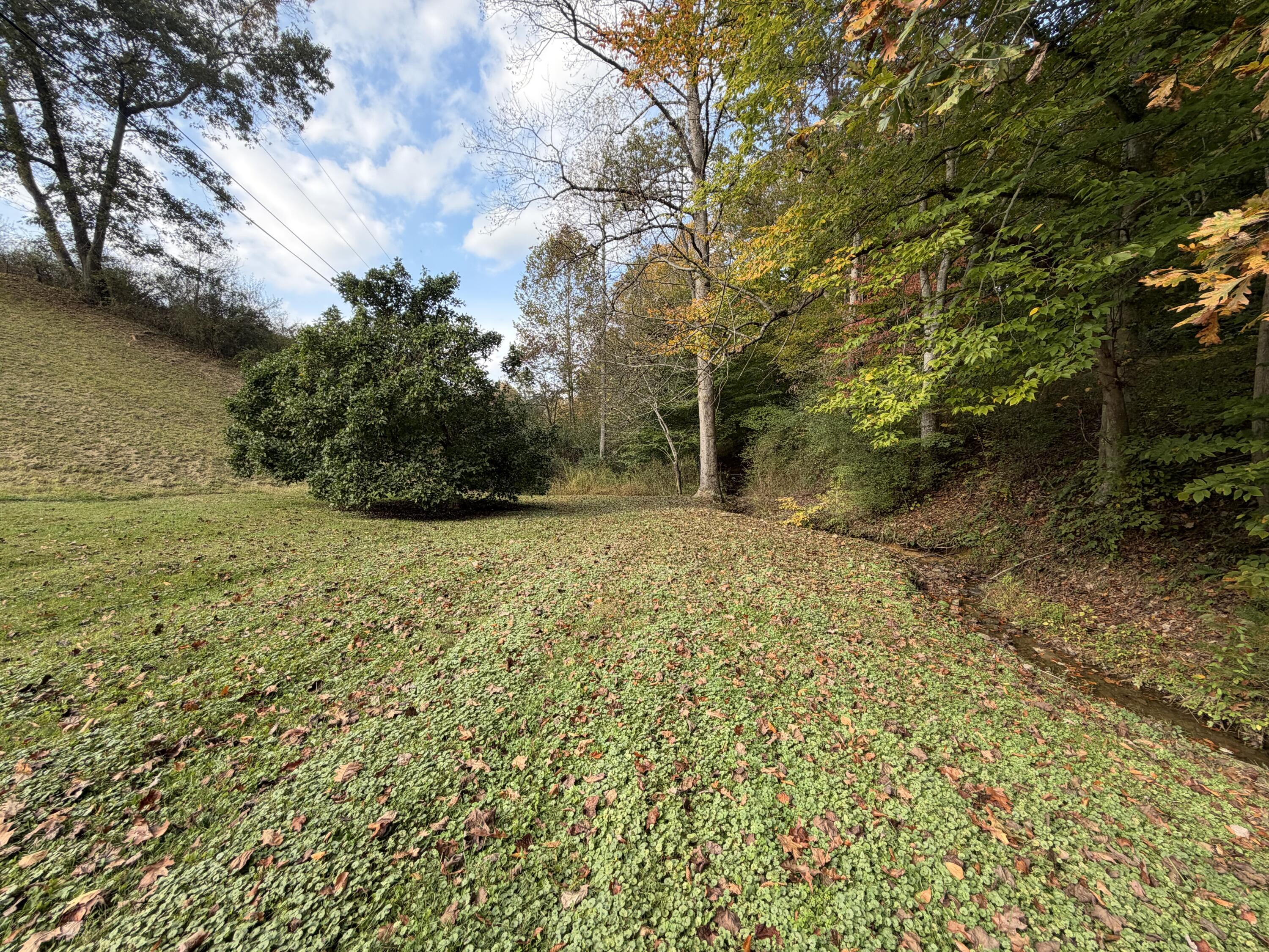 480 Backus Branch Rd