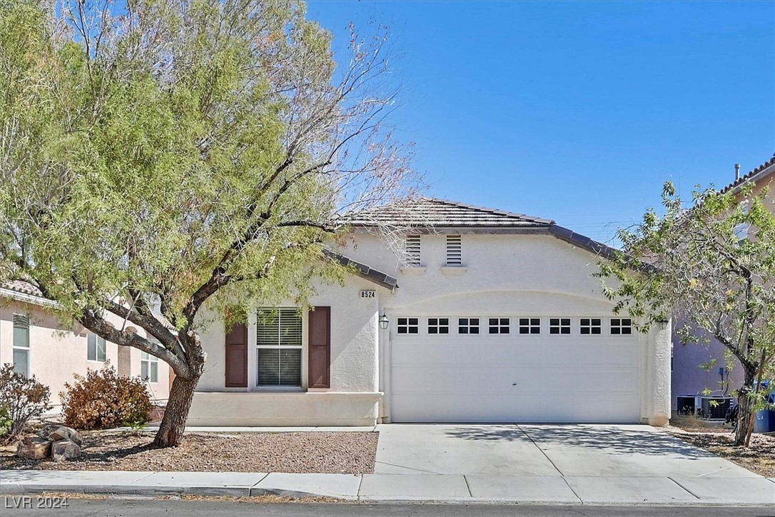 8524 Bighorn River Street