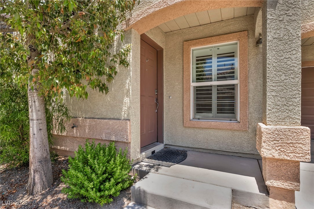 9104 Pearl Cotton Avenue