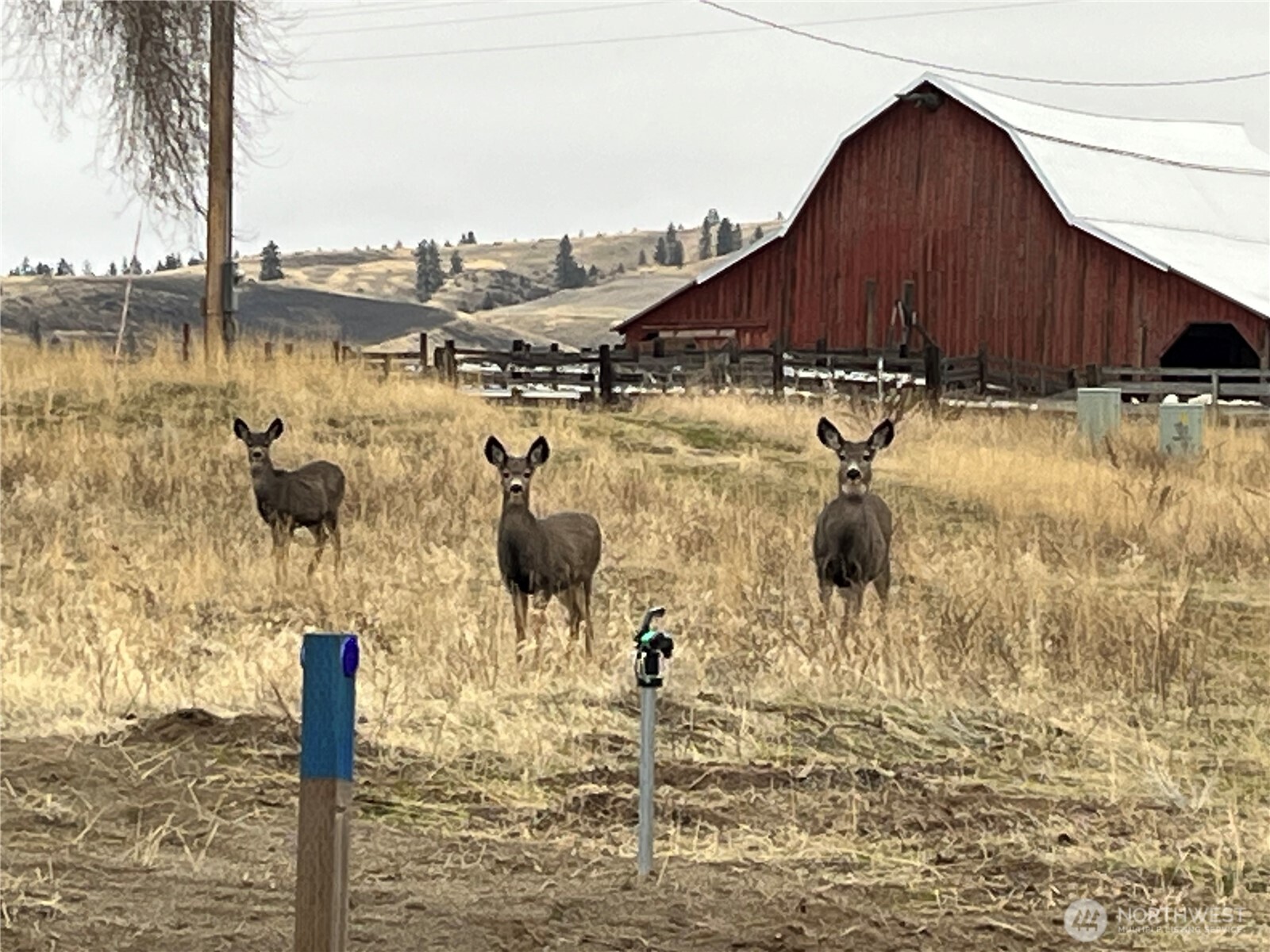 0 Miles Creston Road Unit: Lot 2
