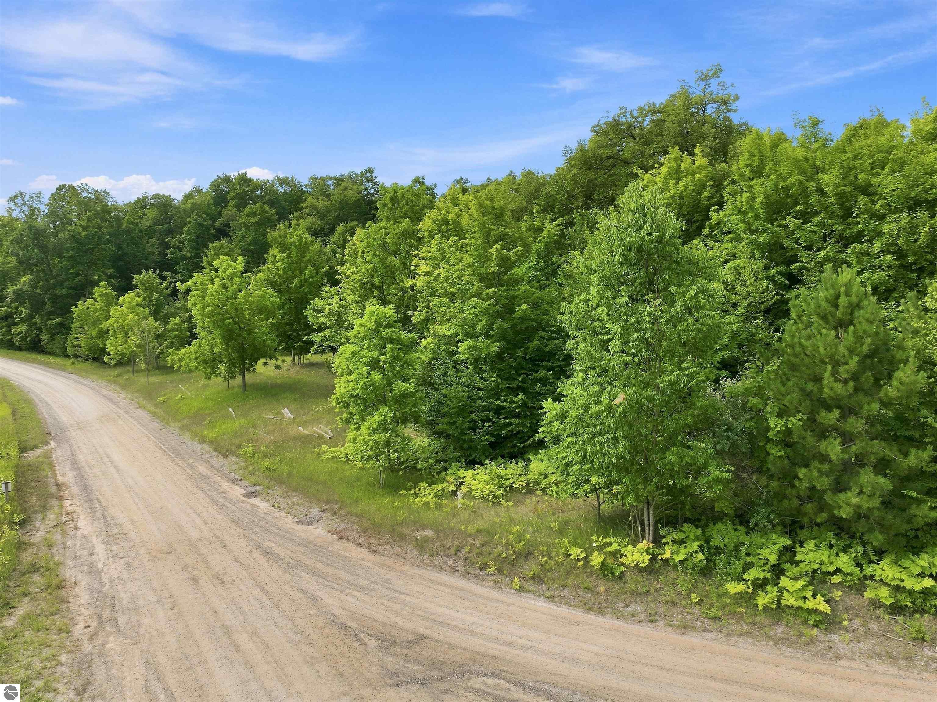27.5 Acres S Hill Road