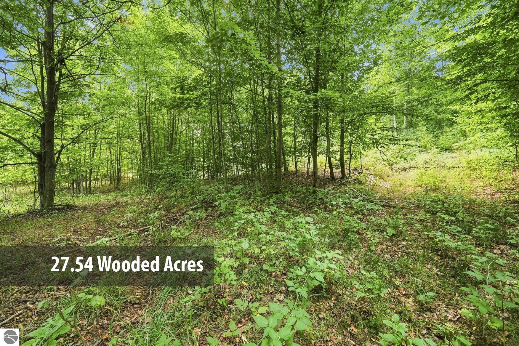 27.5 Acres S Hill Road