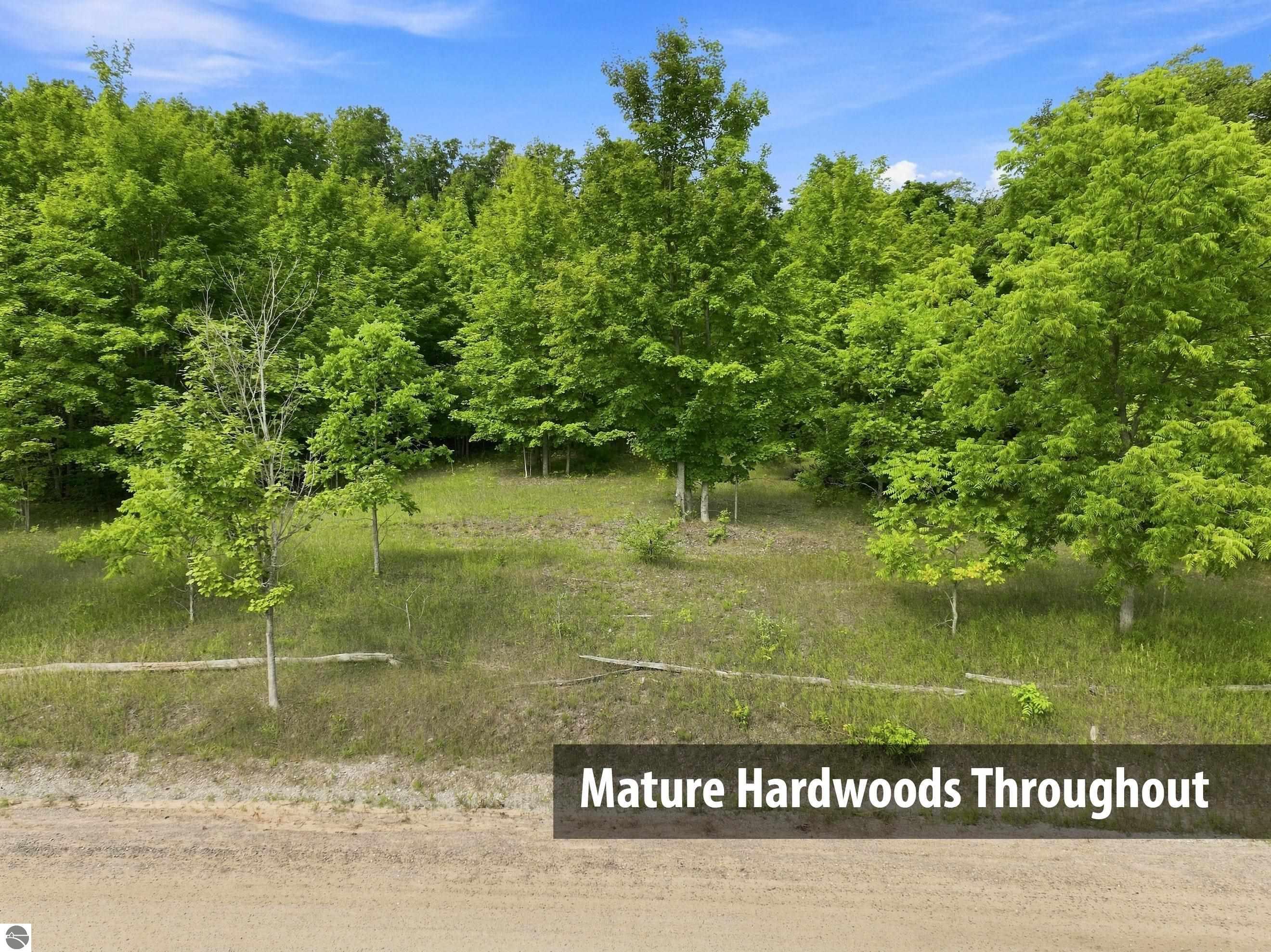 27.5 Acres S Hill Road