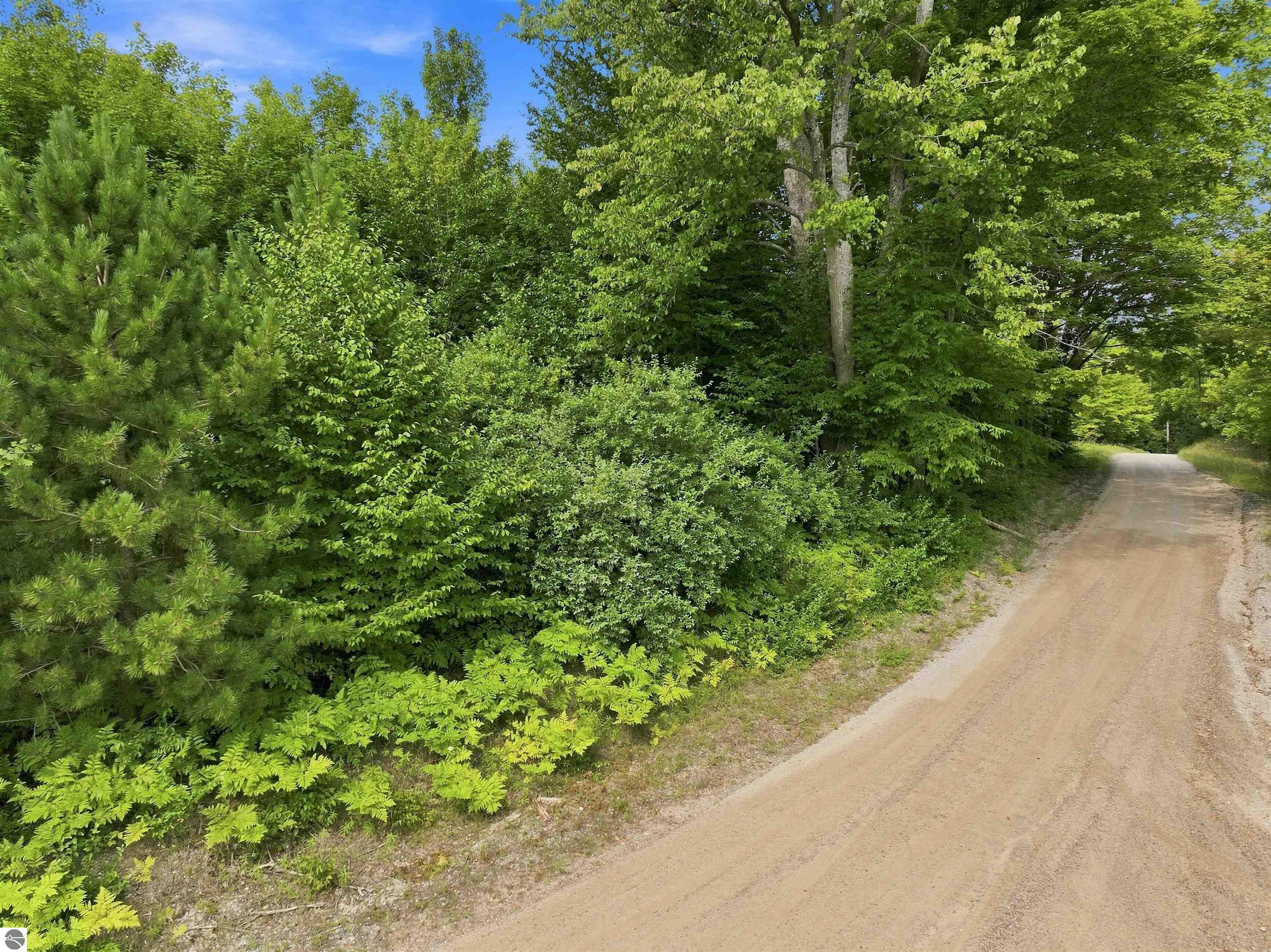 27.5 Acres S Hill Road