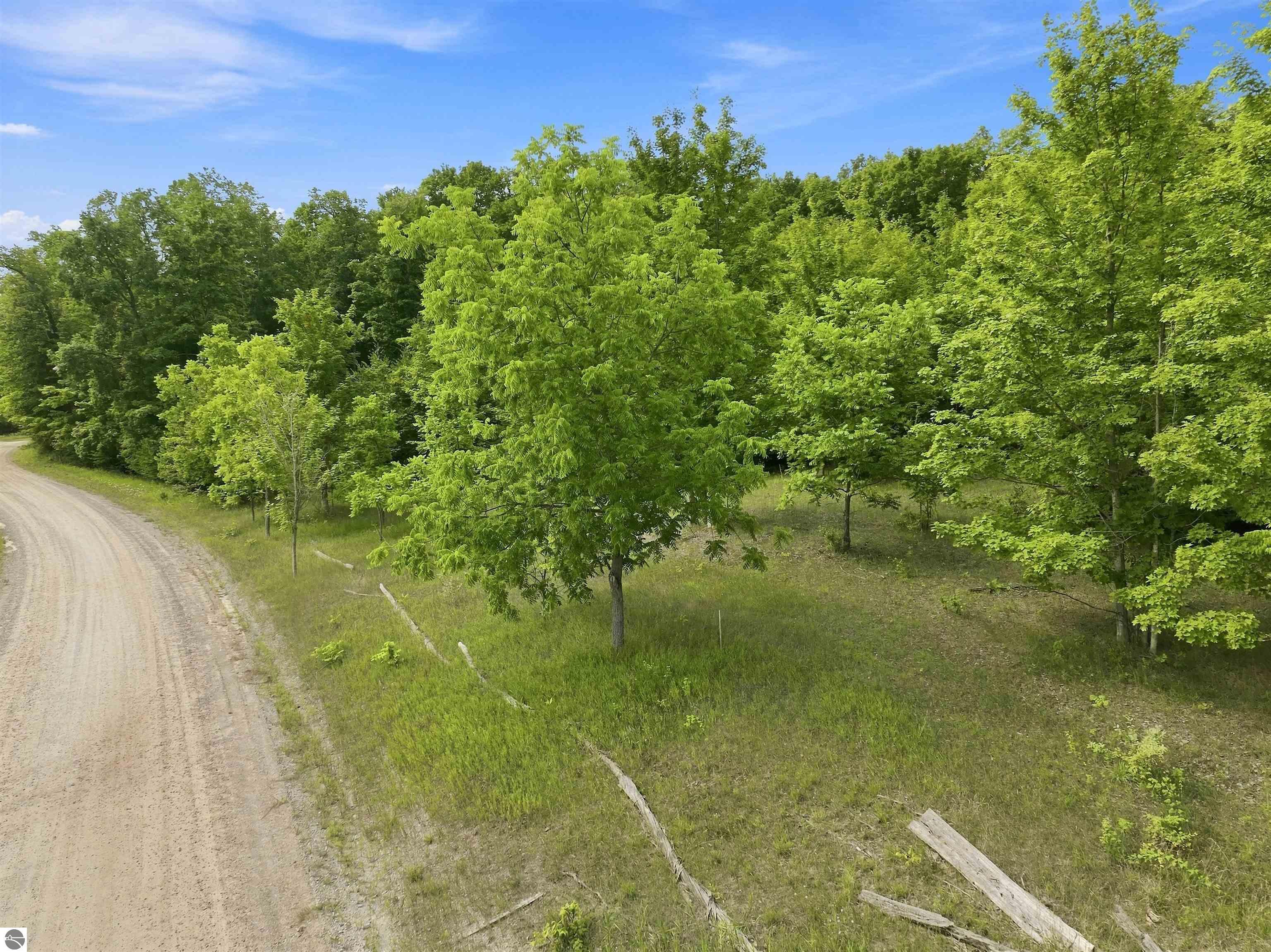 27.5 Acres S Hill Road