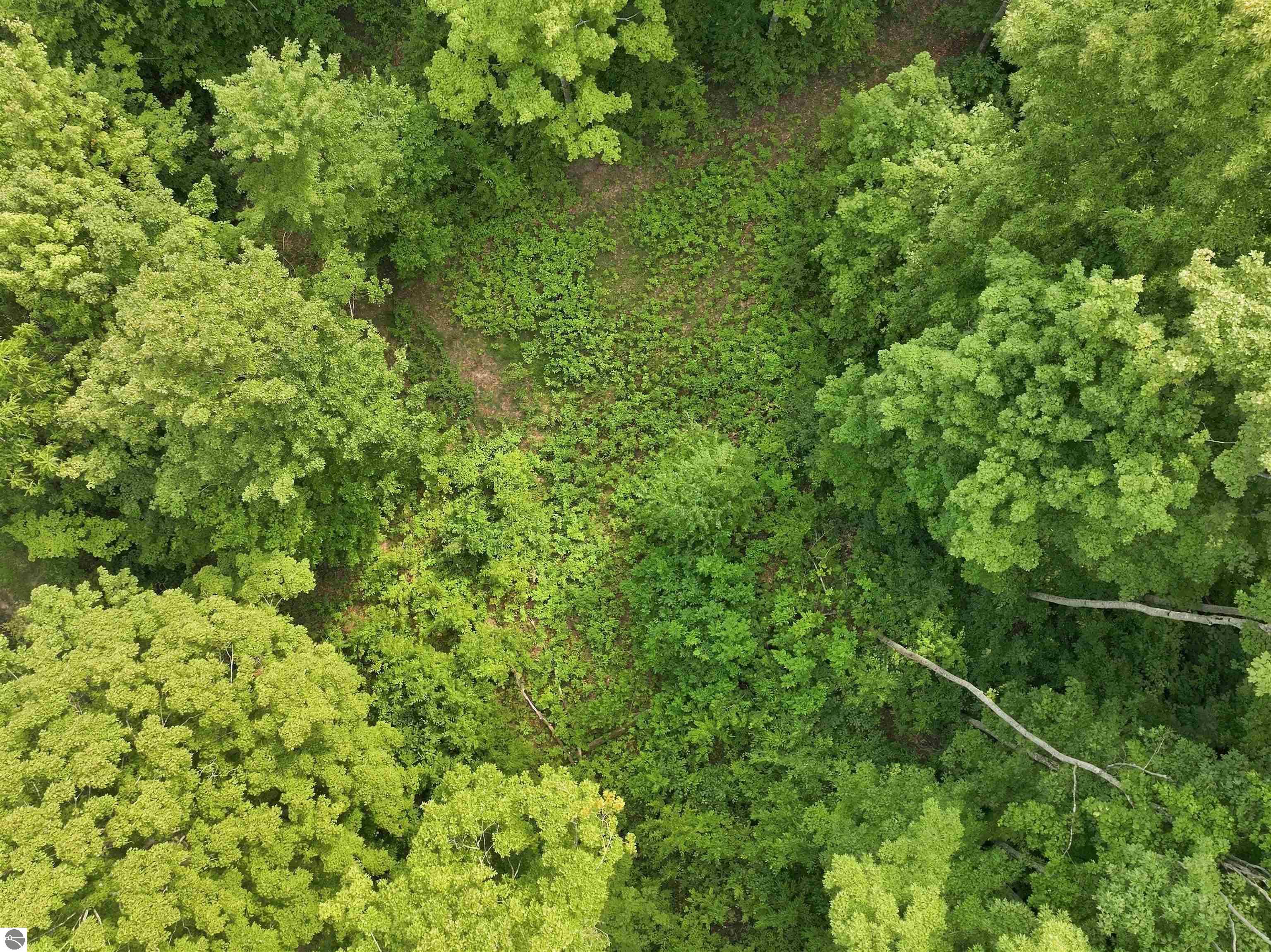 27.5 Acres S Hill Road