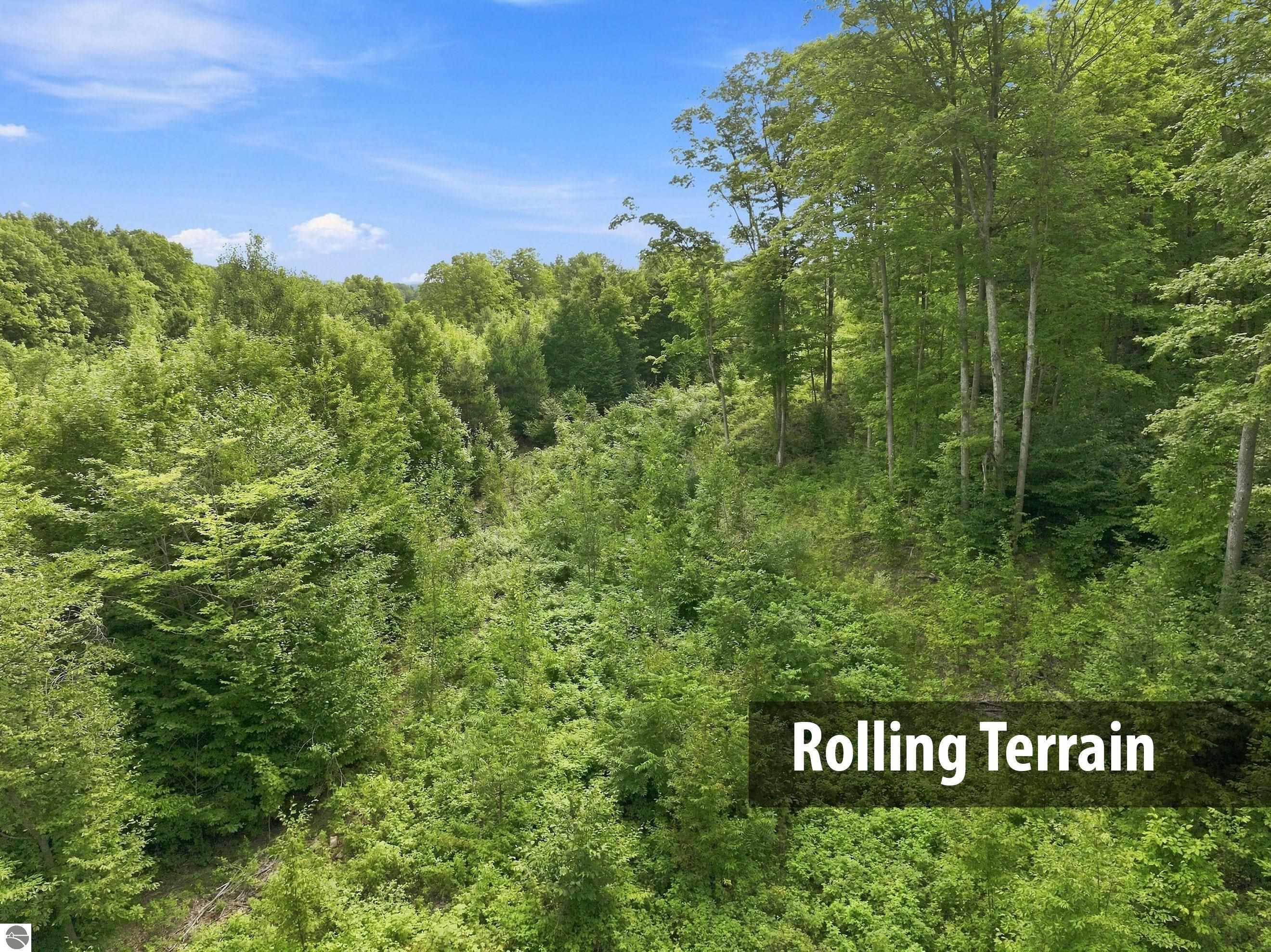 27.5 Acres S Hill Road