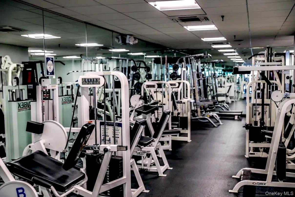 20607 Emily Road Unit: 3