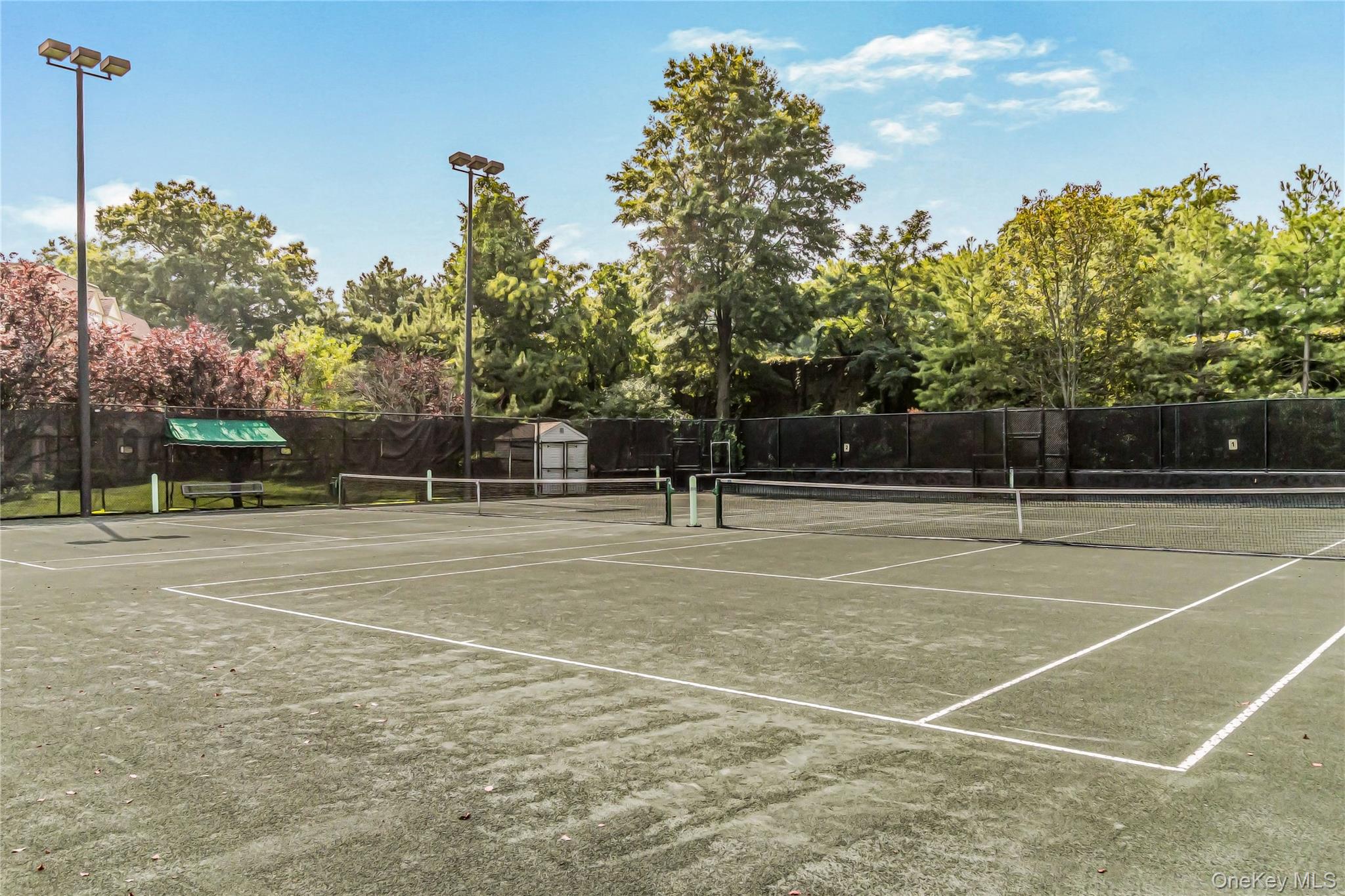 20607 Emily Road Unit: 3