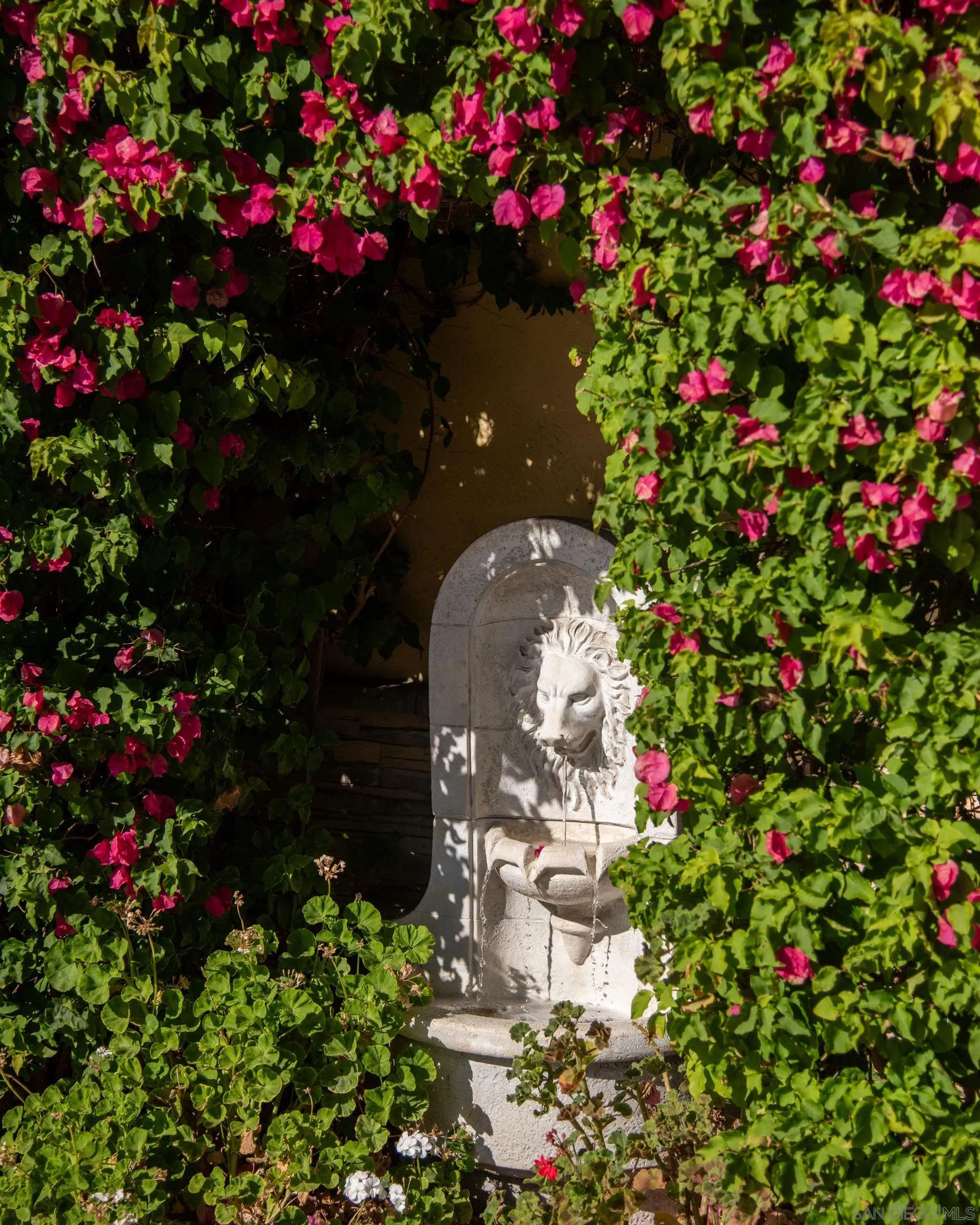 459 Flores De Oro