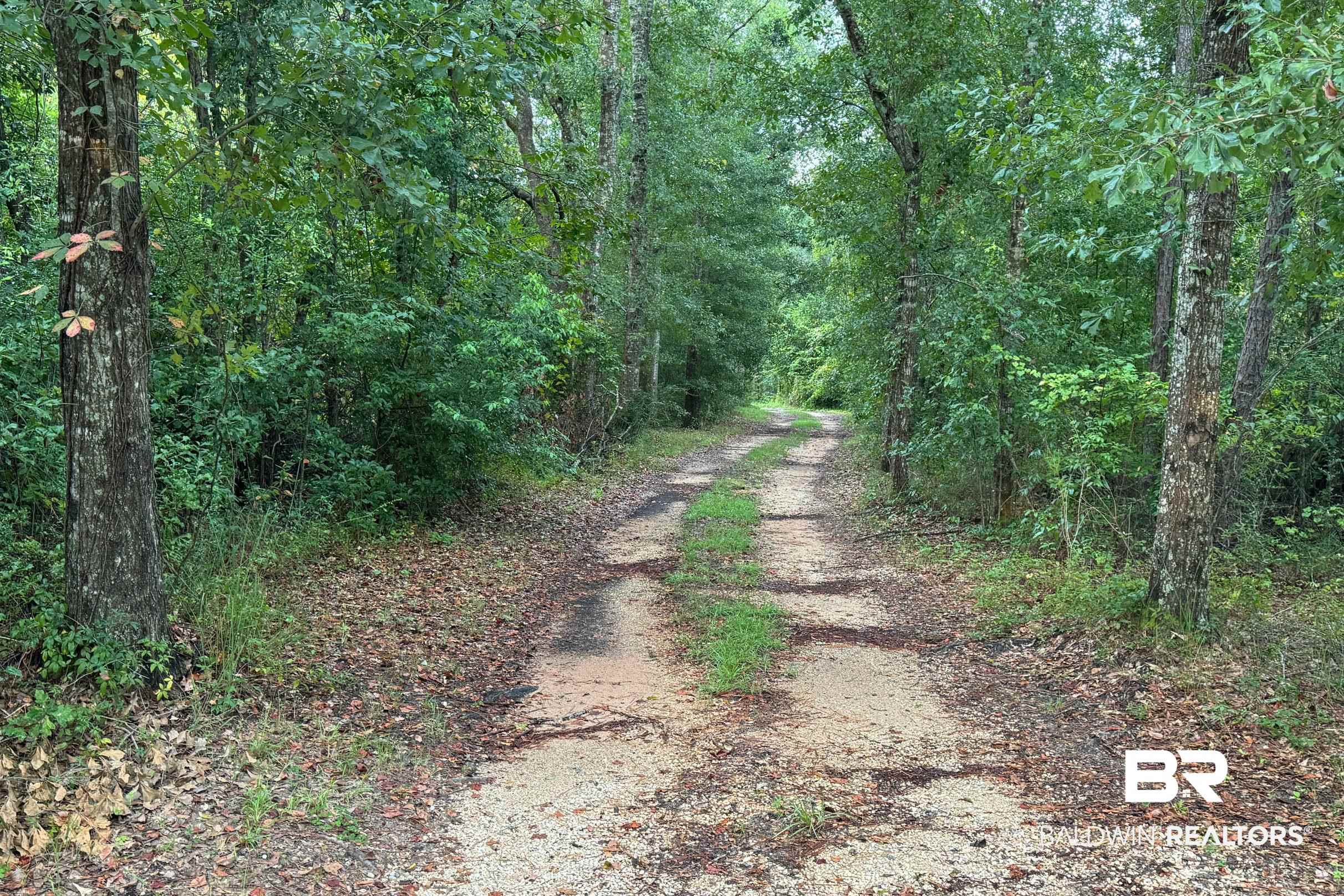 14152 George Younce Road