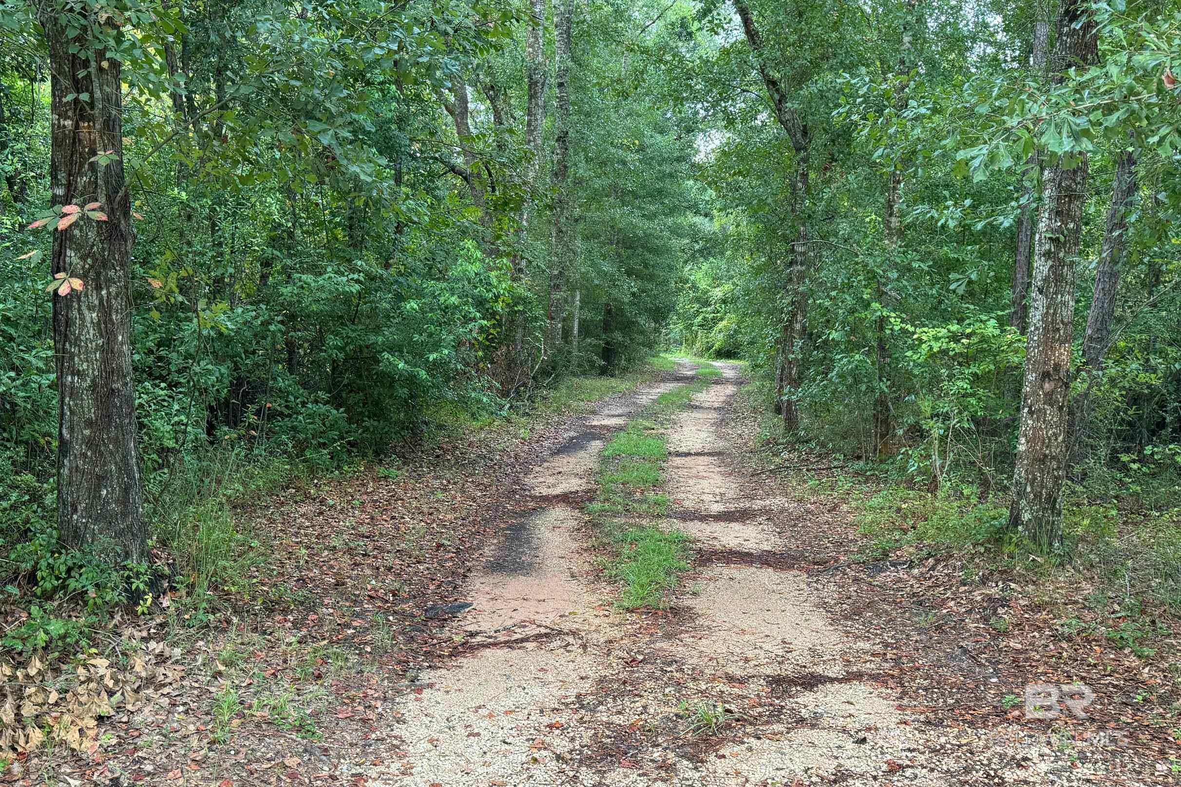 14152 George Younce Road