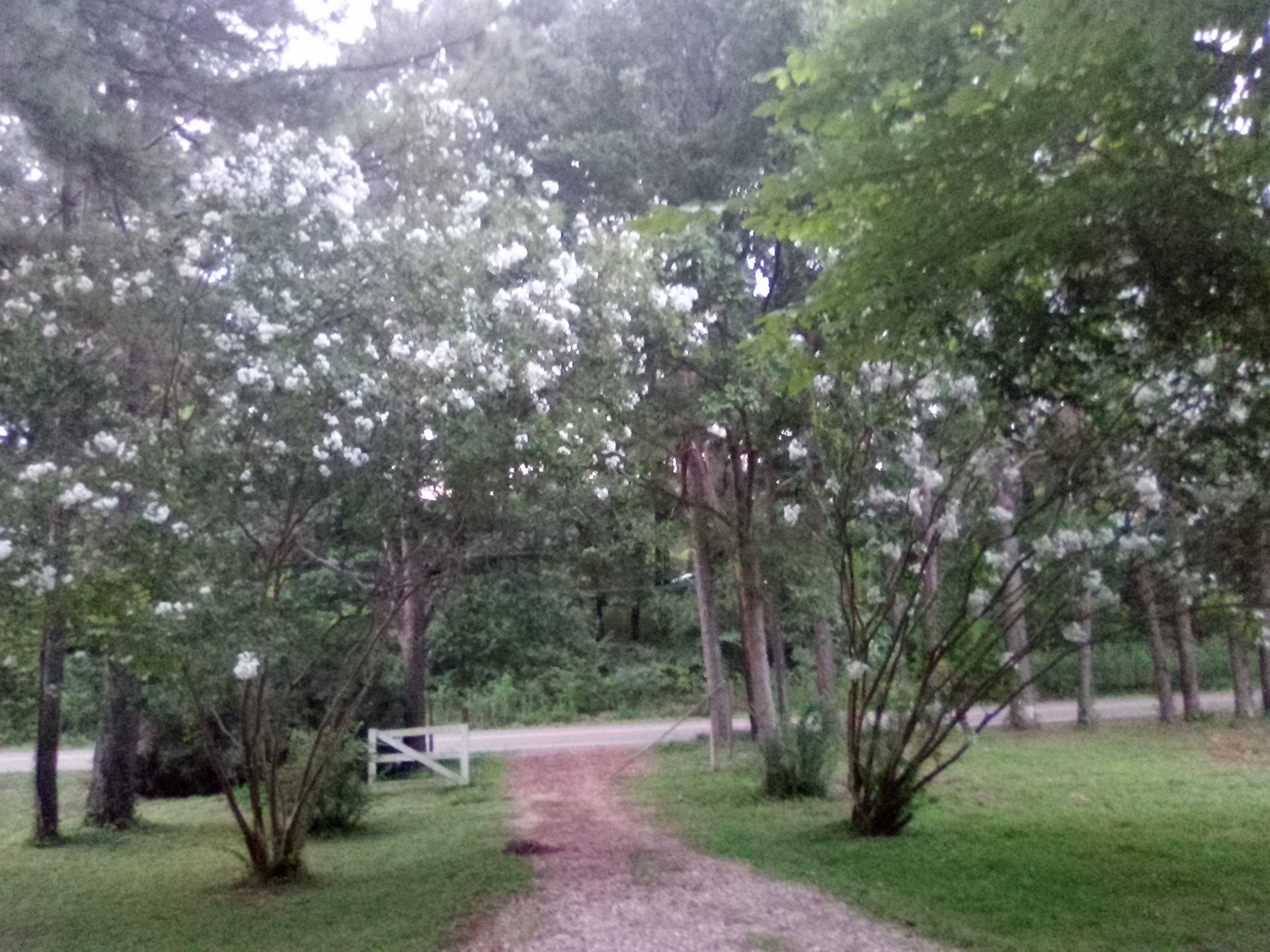 7980 PLEASANT RIDGE RD