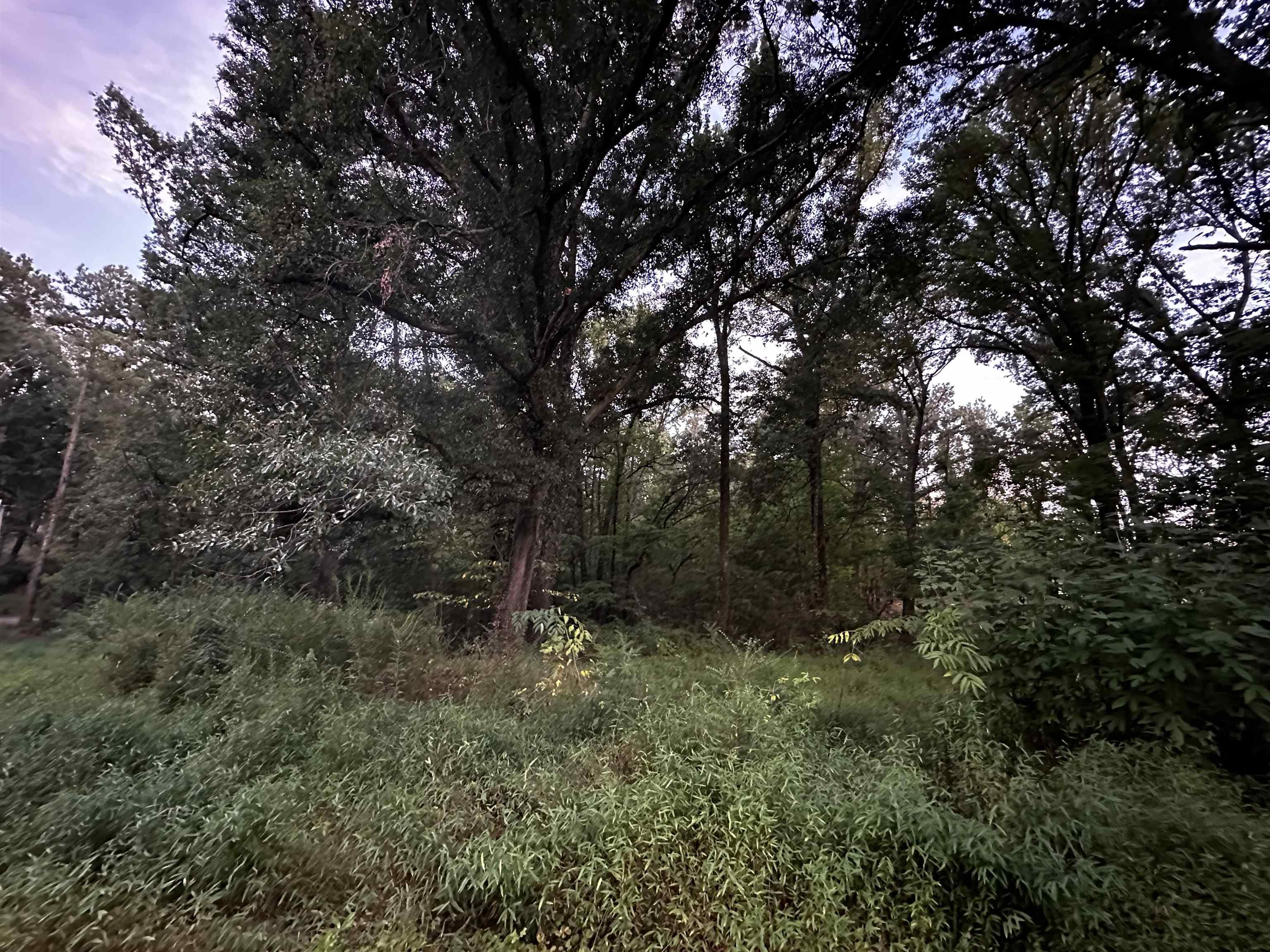 7980 PLEASANT RIDGE RD