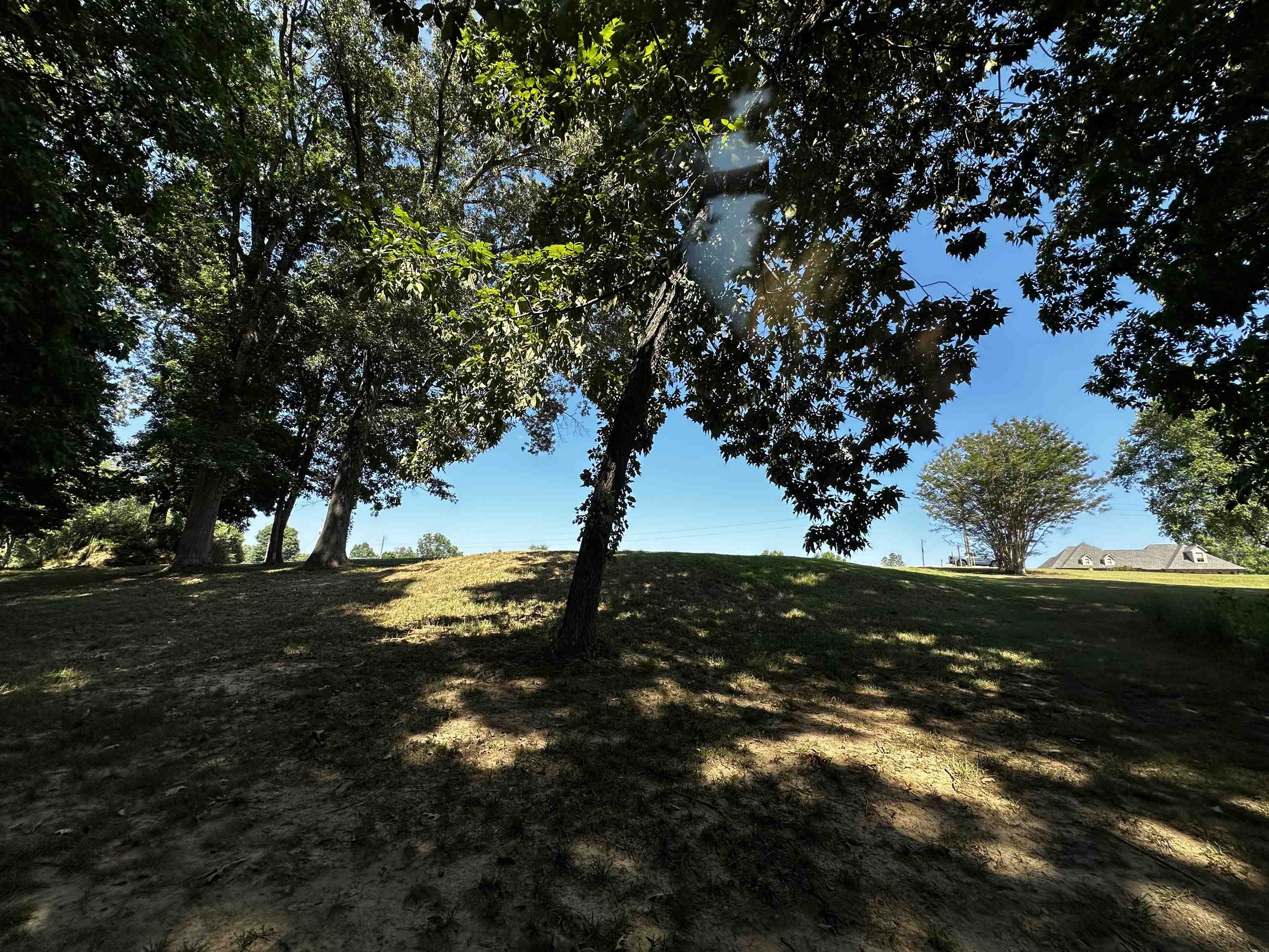 46 BLACKGUM RD