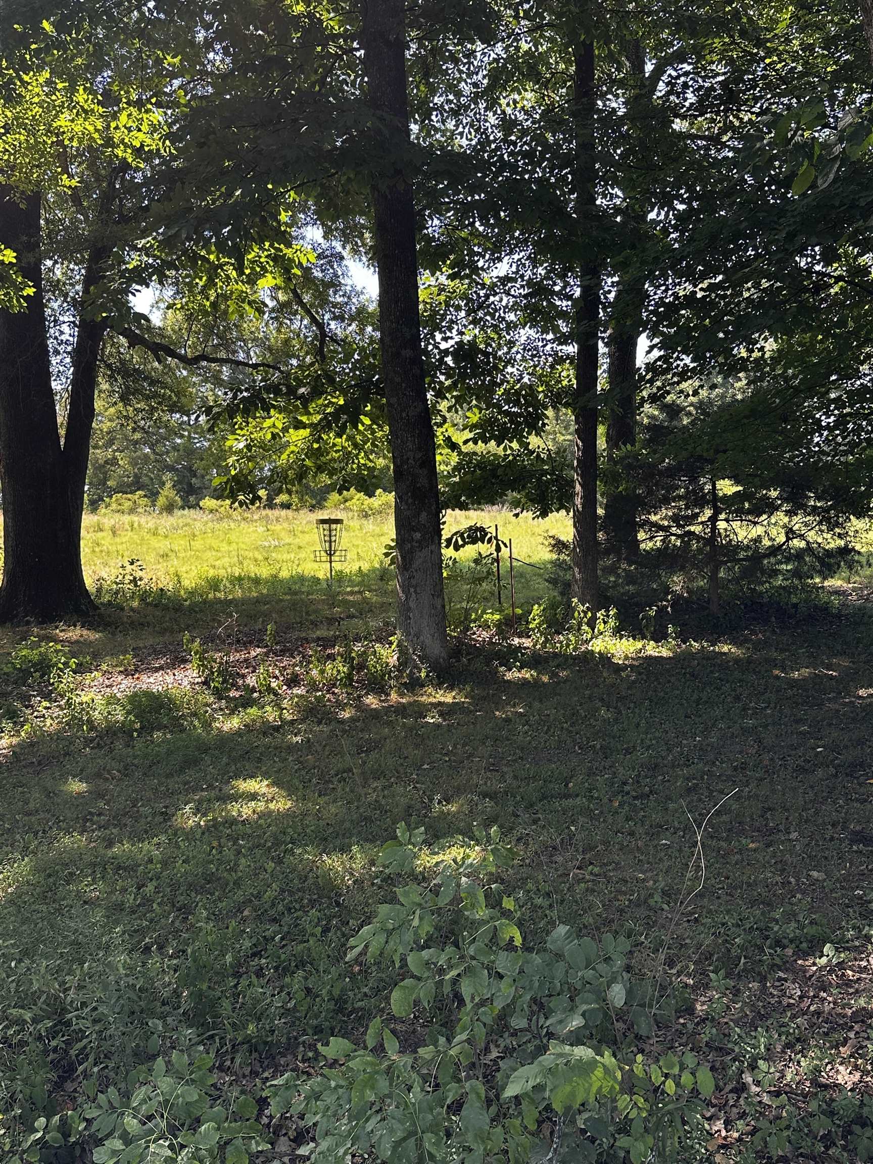 46 BLACKGUM RD