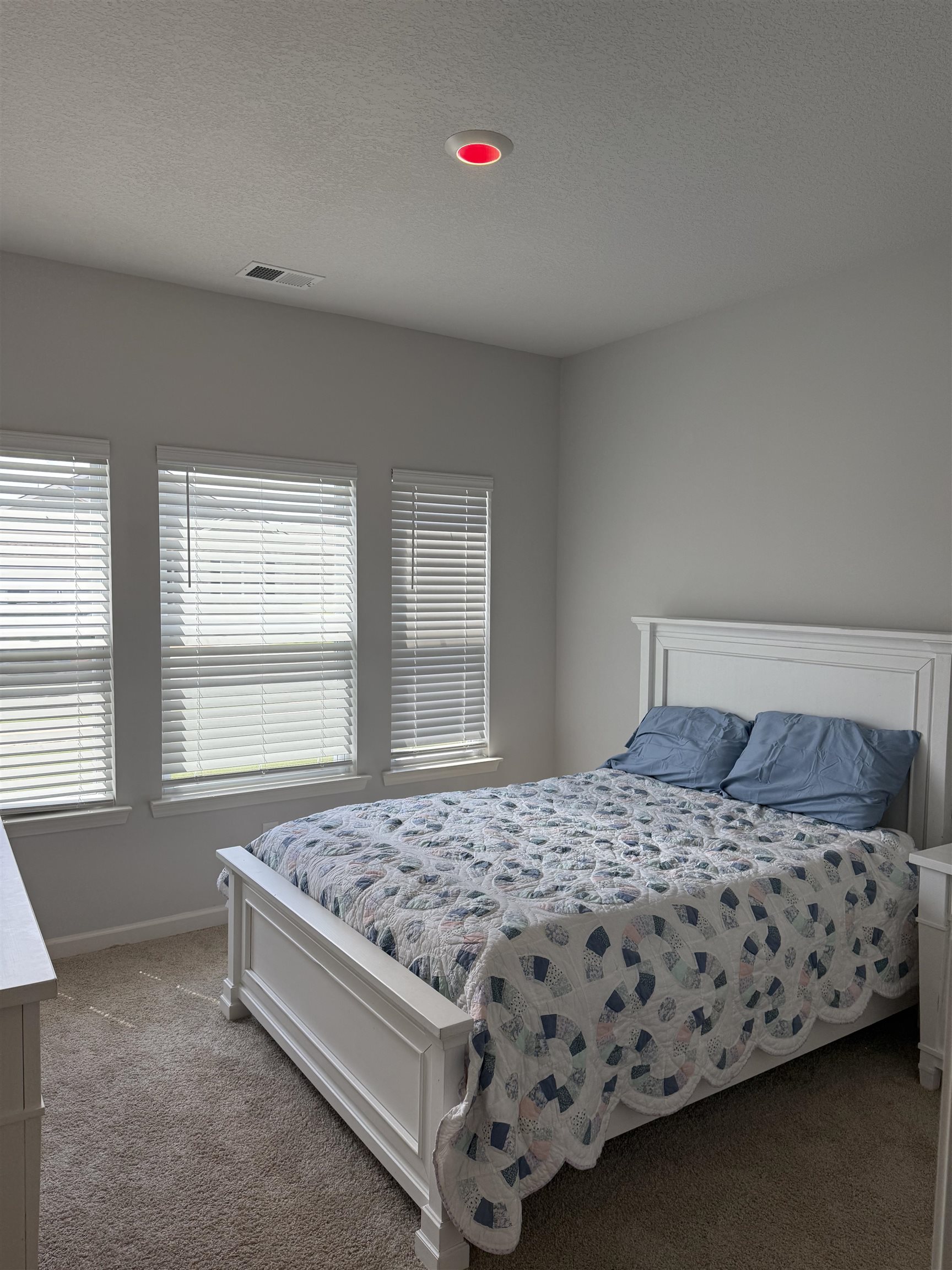 160 DAISY DR