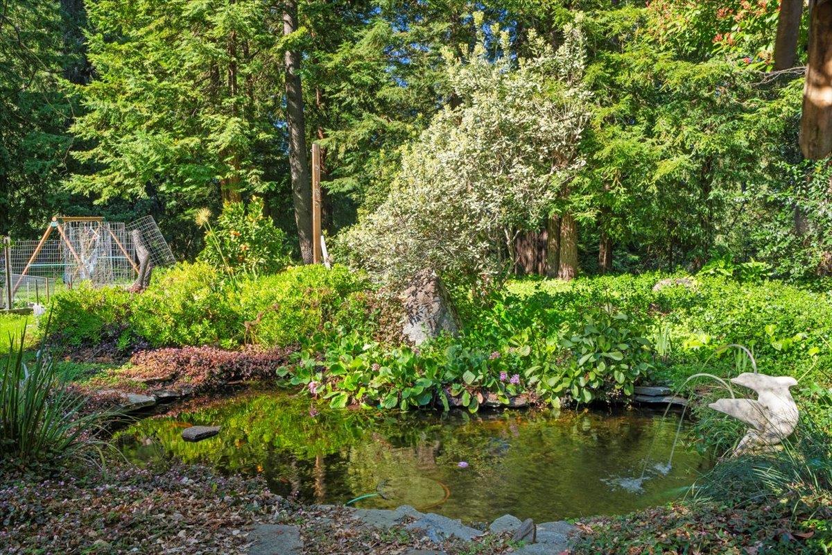 17615 Mountain Charlie RD