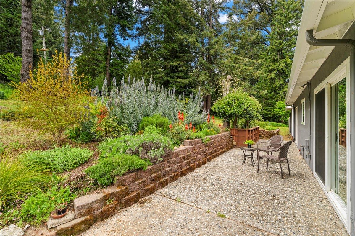 17615 Mountain Charlie RD