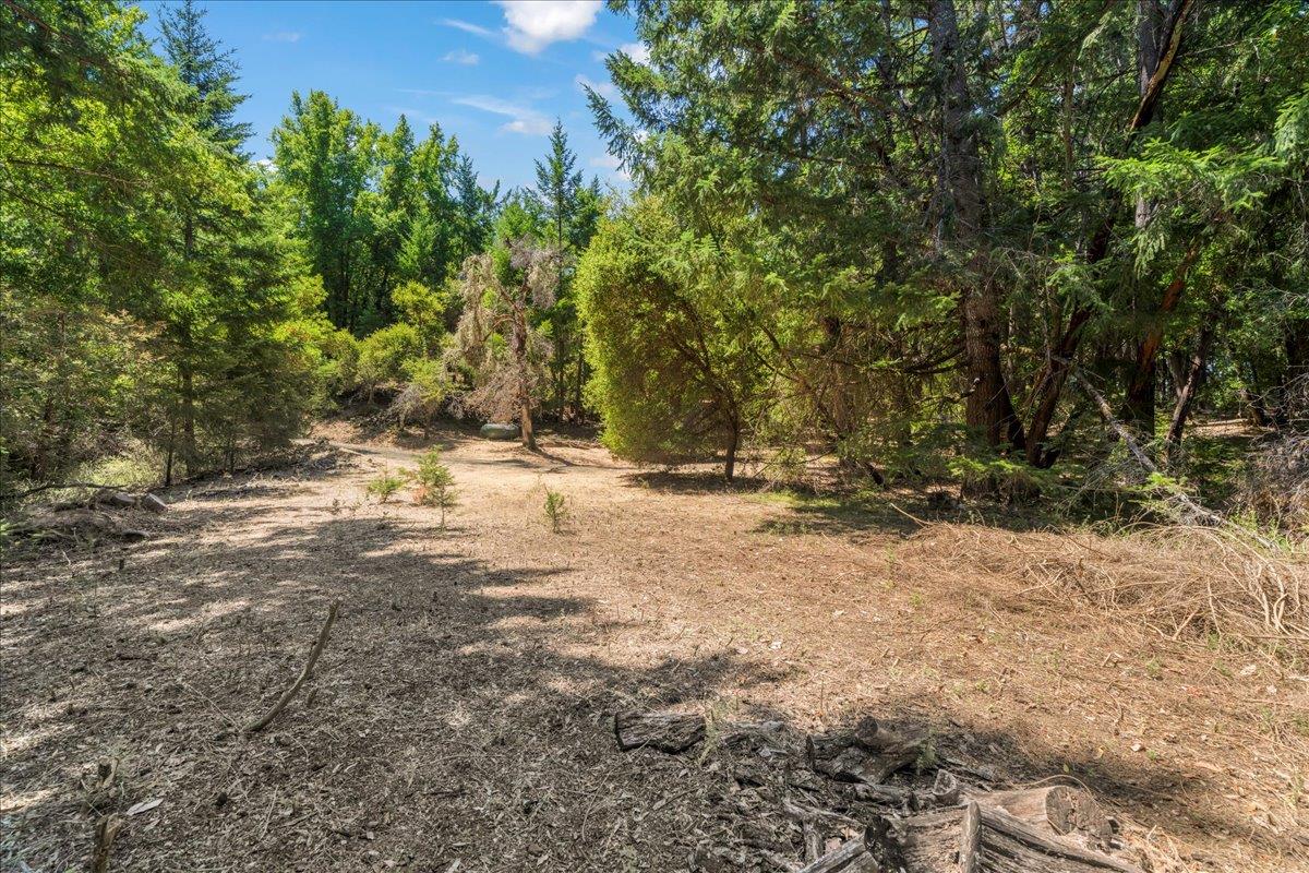13770 Madrone Place