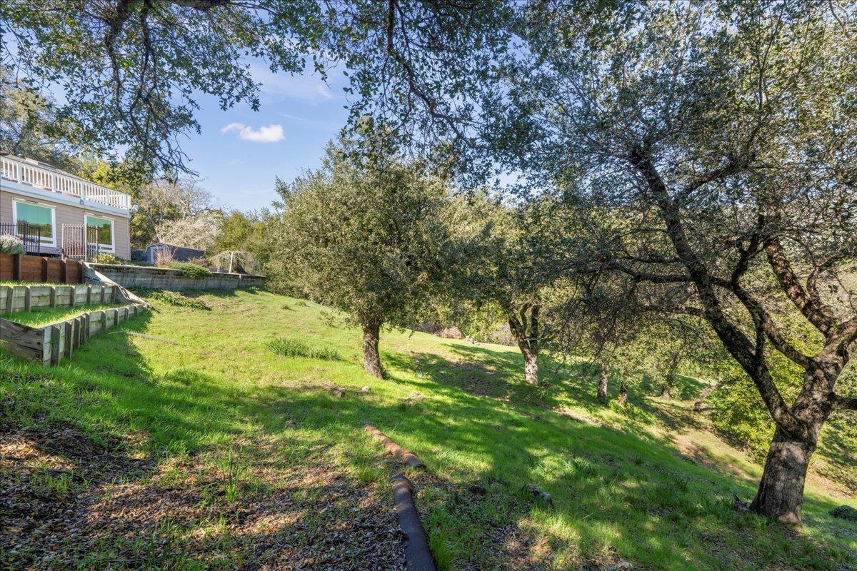 25400 Radonich Road