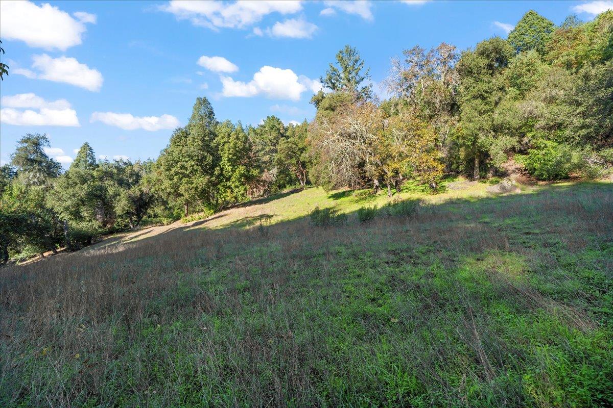 15380 Stetson