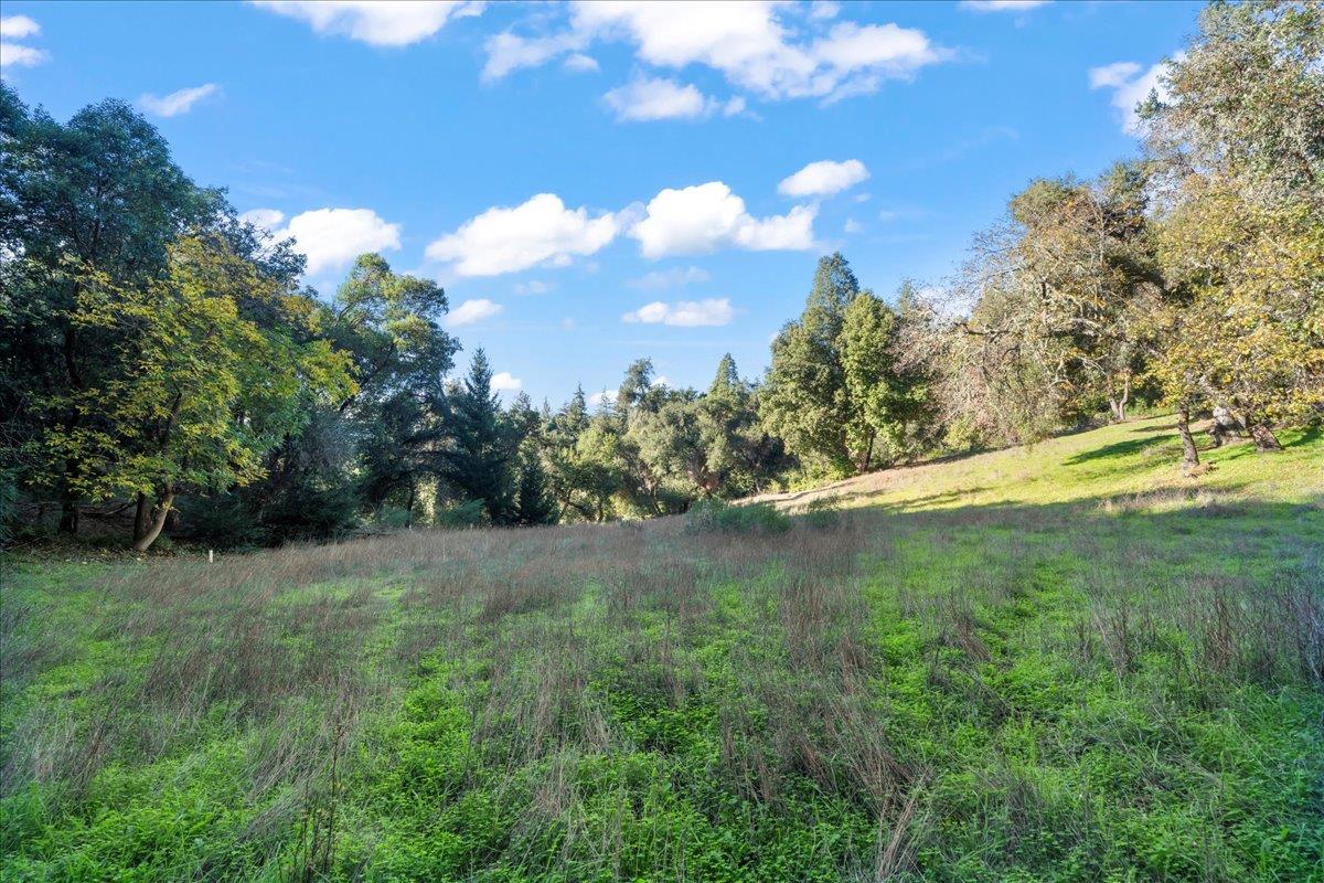 15380 Stetson