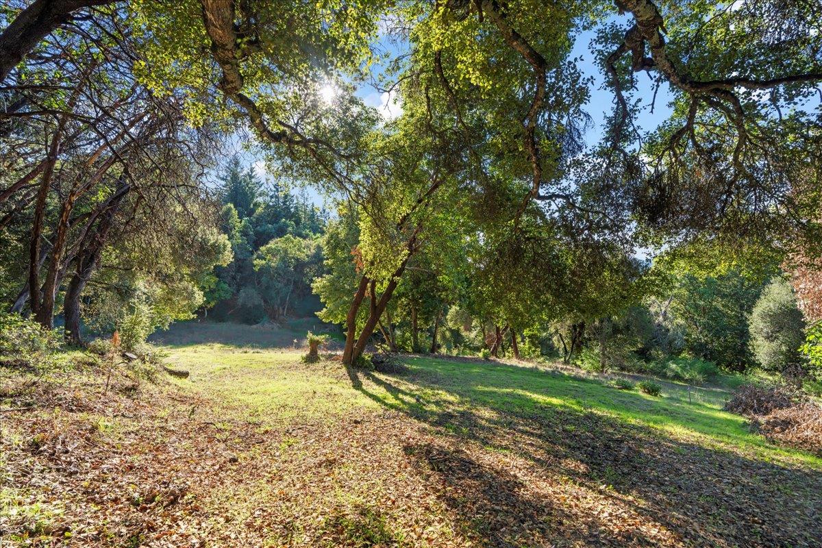 15380 Stetson