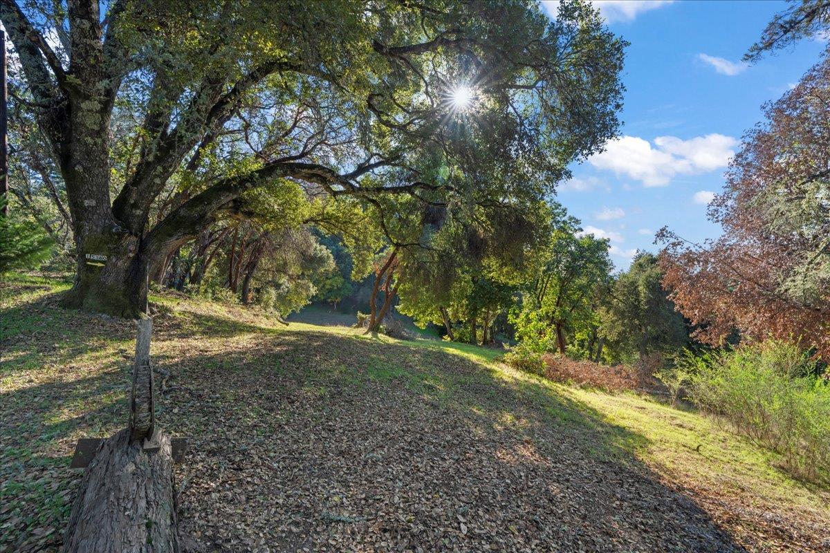 15380 Stetson