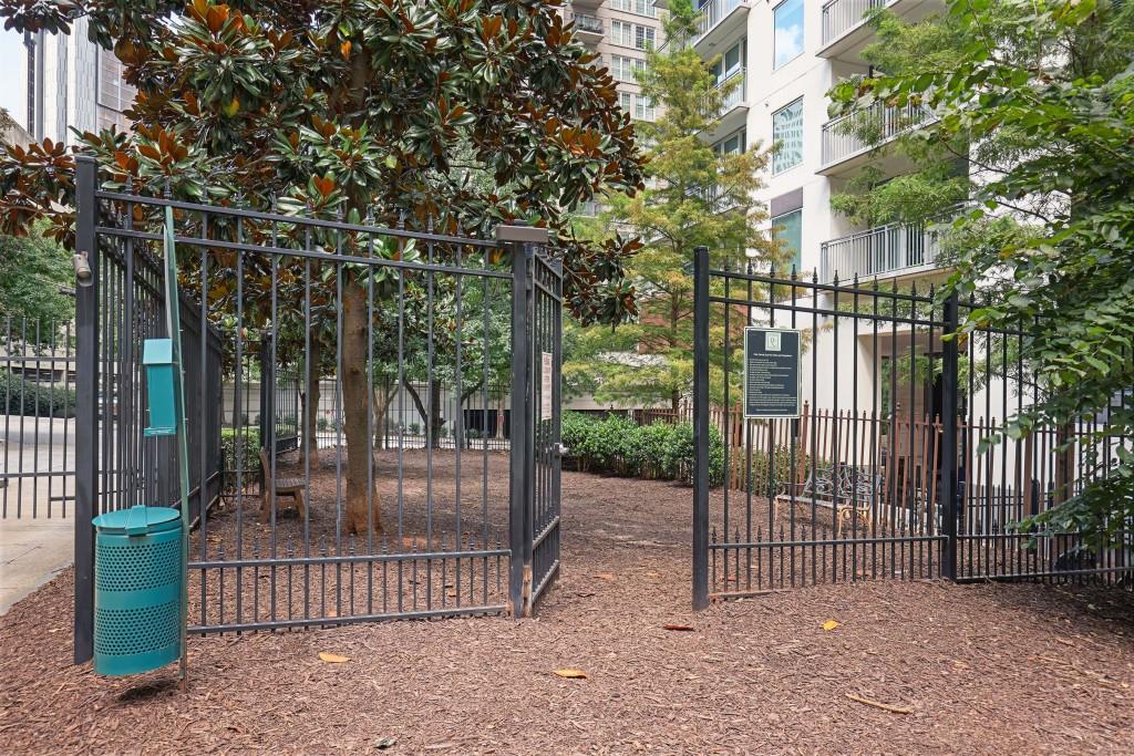 1101 Juniper Street Unit 219