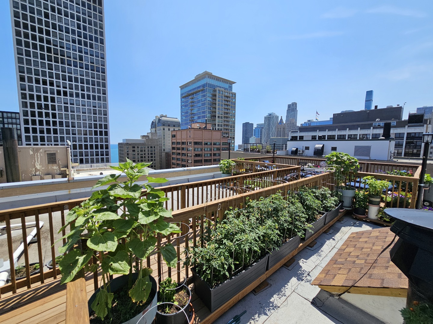 222 E Chestnut Street Unit: 10B