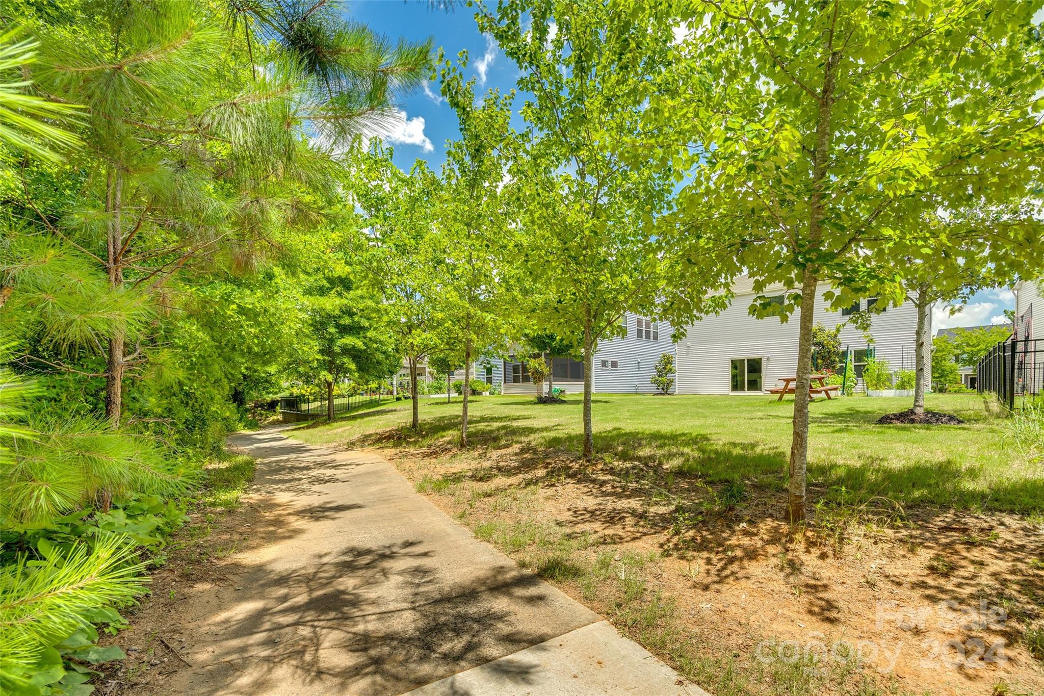 Backyard with a curving concrete walkway, leafy trees, lawn, and picnic table.